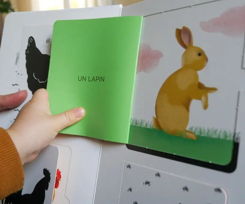 Imagier des animaux - un livre animé avec 48 flaps pour découvrir les animaux - dès 12 mois - Livre d'éveil - 9782095027711 - page intérieure 04