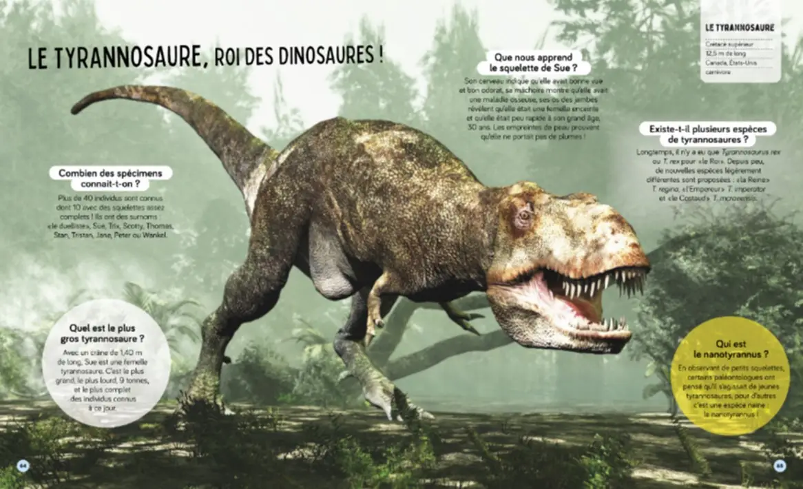 Tous les dinosaures - Questions/Réponses - Dès 5 ans - Livre documentaire - 9782095034948 - page-interieure 04