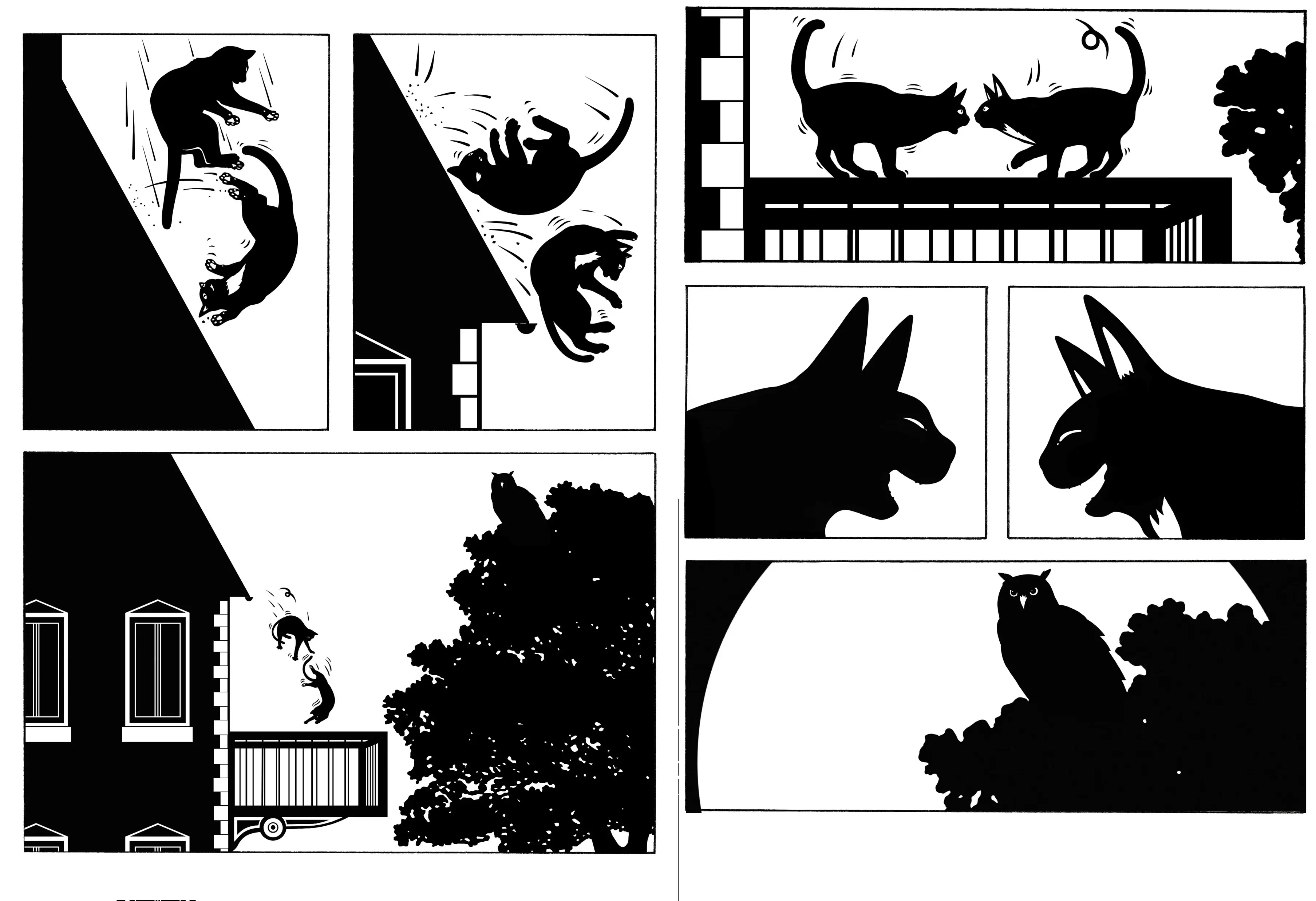 Chats perchés - MINI BULLES - BD sans texte - dès 3 ans - BD - 9782095037123 - page-interieure 04