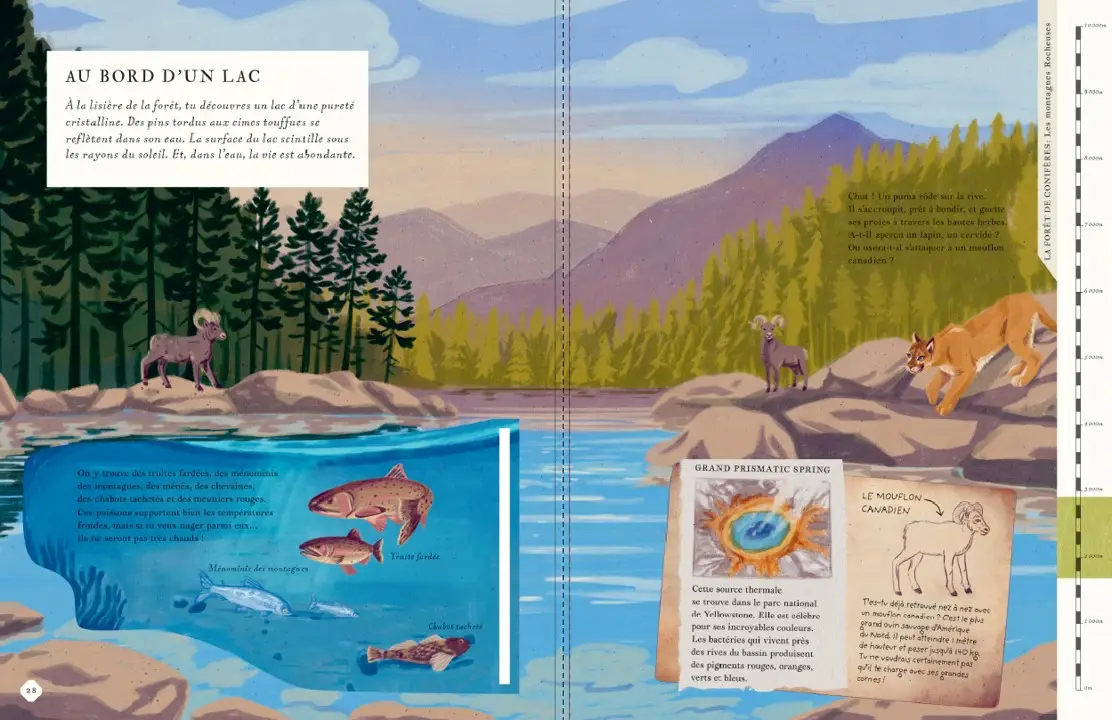 Il y a une montagne dans ce livre - un magnifique album avec des pages panoramiques à explorer à partir de 7 ans - Livre documentaire - 9782095037758 - page-interieure 04