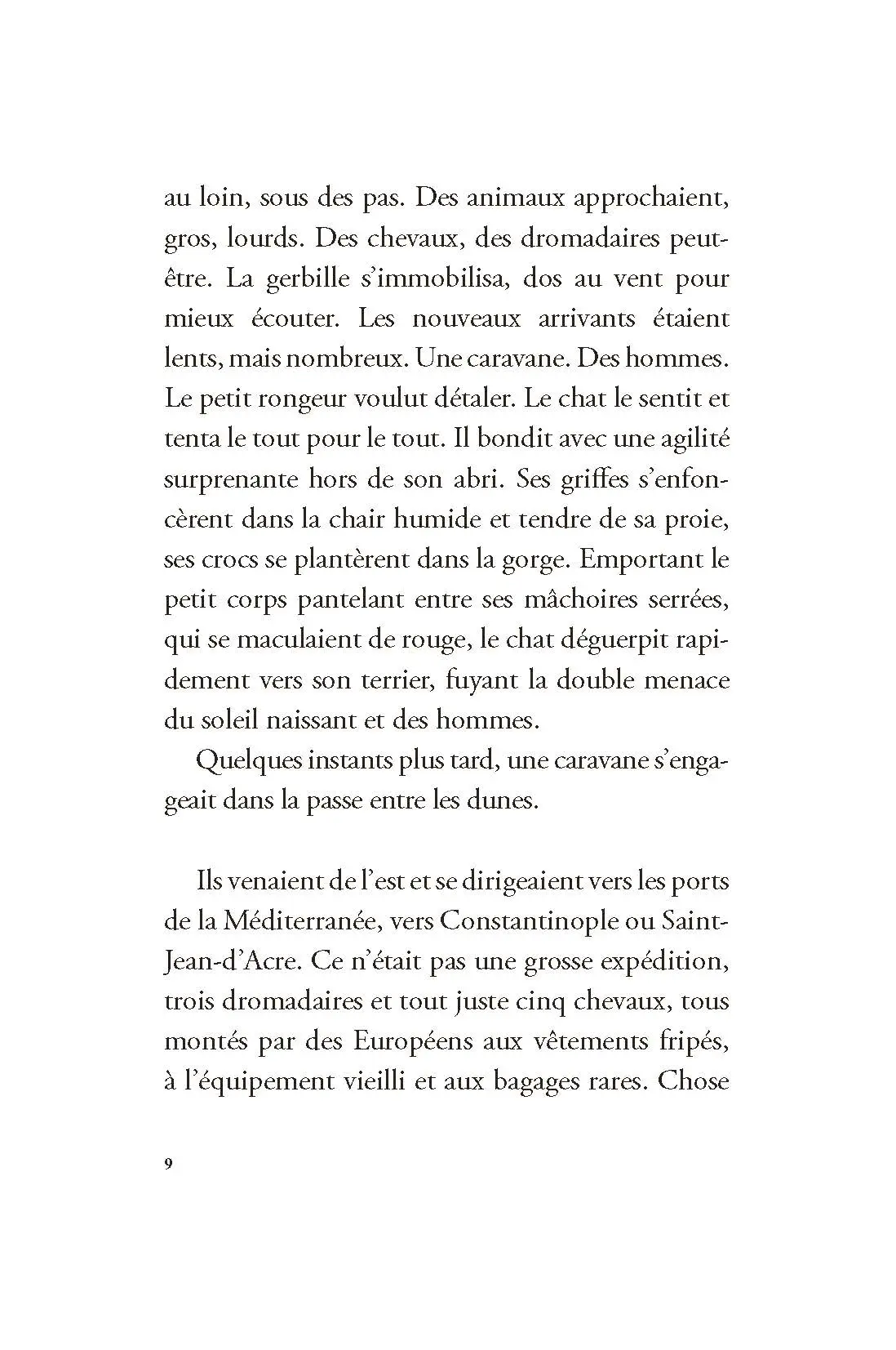 L'héritier des fées - Une fantasy historique au coeur des châteaux cathares - Roman - 9782095037949 - page-interieure 04