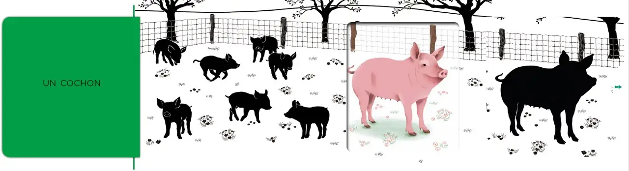 Les belles couleurs - La ferme - un imagier original et interactif à découvrir dès 6 mois - Livre d'éveil - 9782095042899 - page-interieure 04