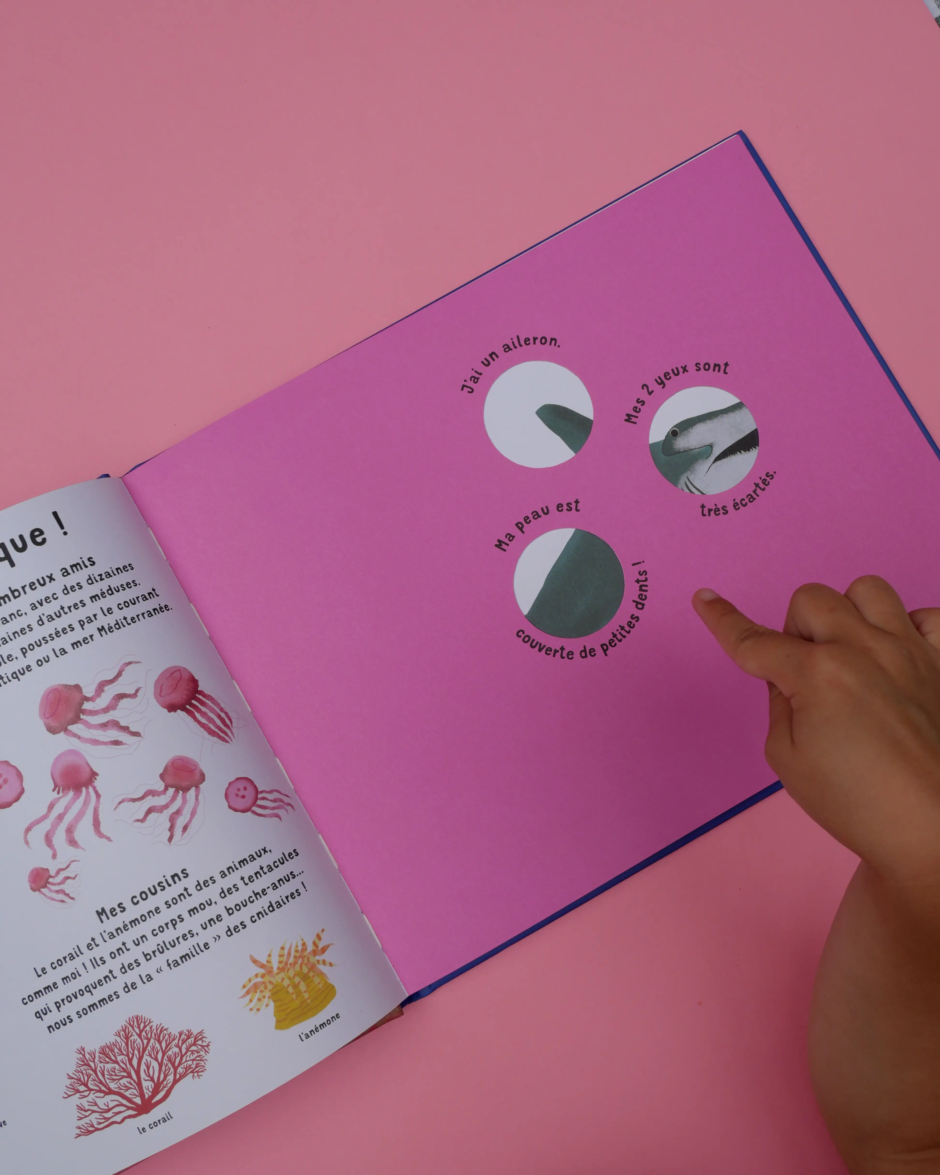 Qui suis-je ? Les animaux des mers - Livre-jeu éducatif, 10 animaux marins à découvrir avec indices et découpages ludiques - dès 4 ans - Album(s) - 9782095042998 - page-interieure 04
