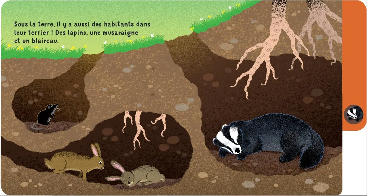 Une journée en forêt - un livre à onglets pour explorer et découvrir la forêt - dès 10 mois - Livre d'éveil - 9782095043827 - page-interieure 04