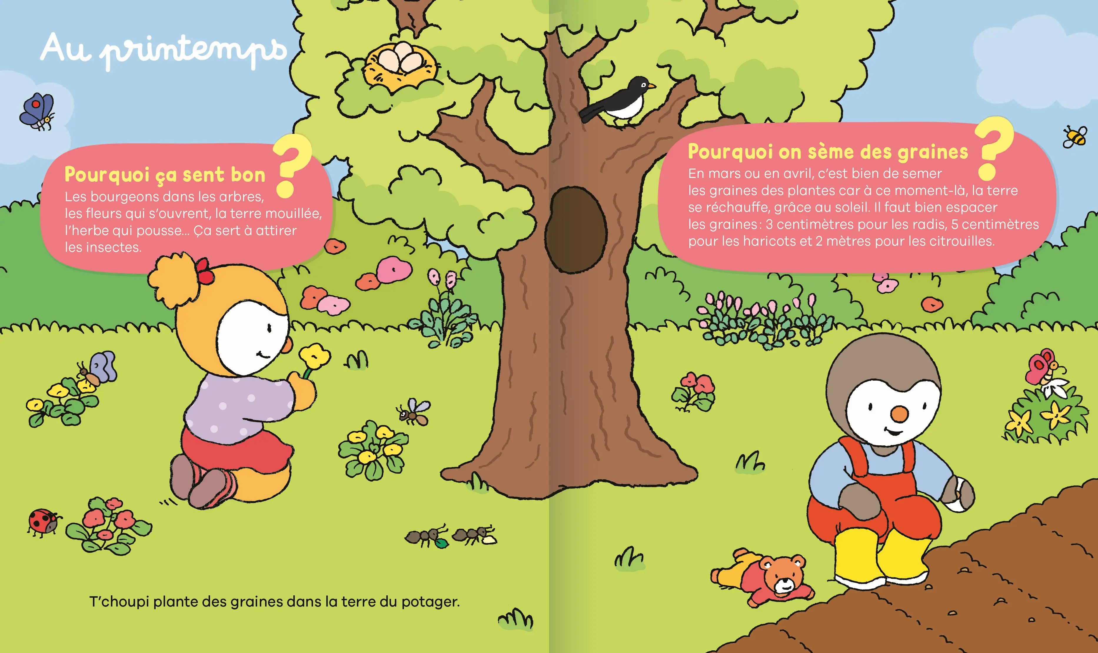 Les pourquoi de T'choupi - Le jardin - 24 questions réponses pour partir à la découverte du jardin avec T'choupi ! - dès 2 ans - Livre documentaire - 9782095044213 - page-interieure 04