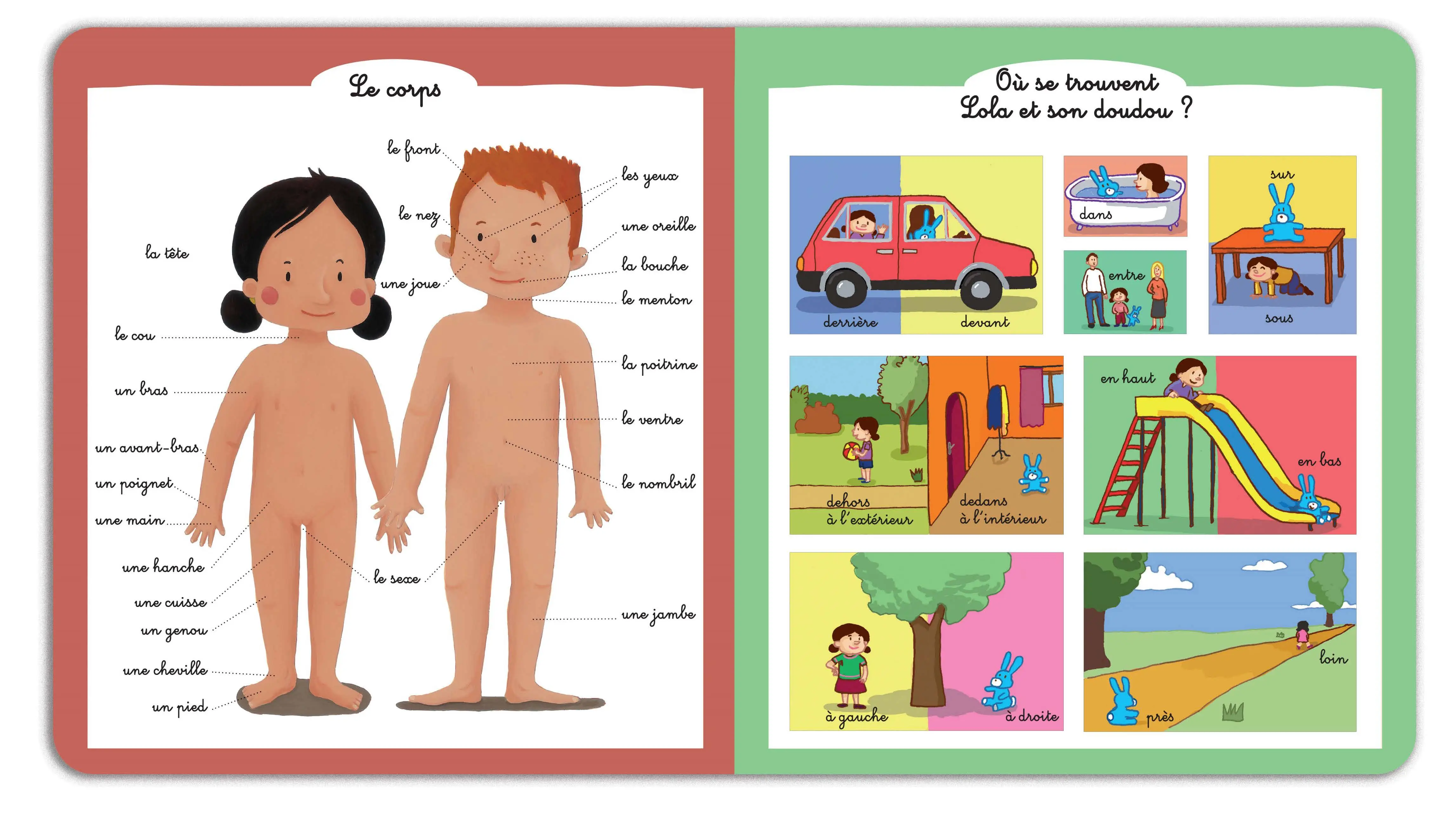 Mon premier dictionnaire Nathan - Le tout premier dictionnaire qui fait aimer les mots ! - dès 3 ans - Livre documentaire - 9782095051013 - page-interieure 04