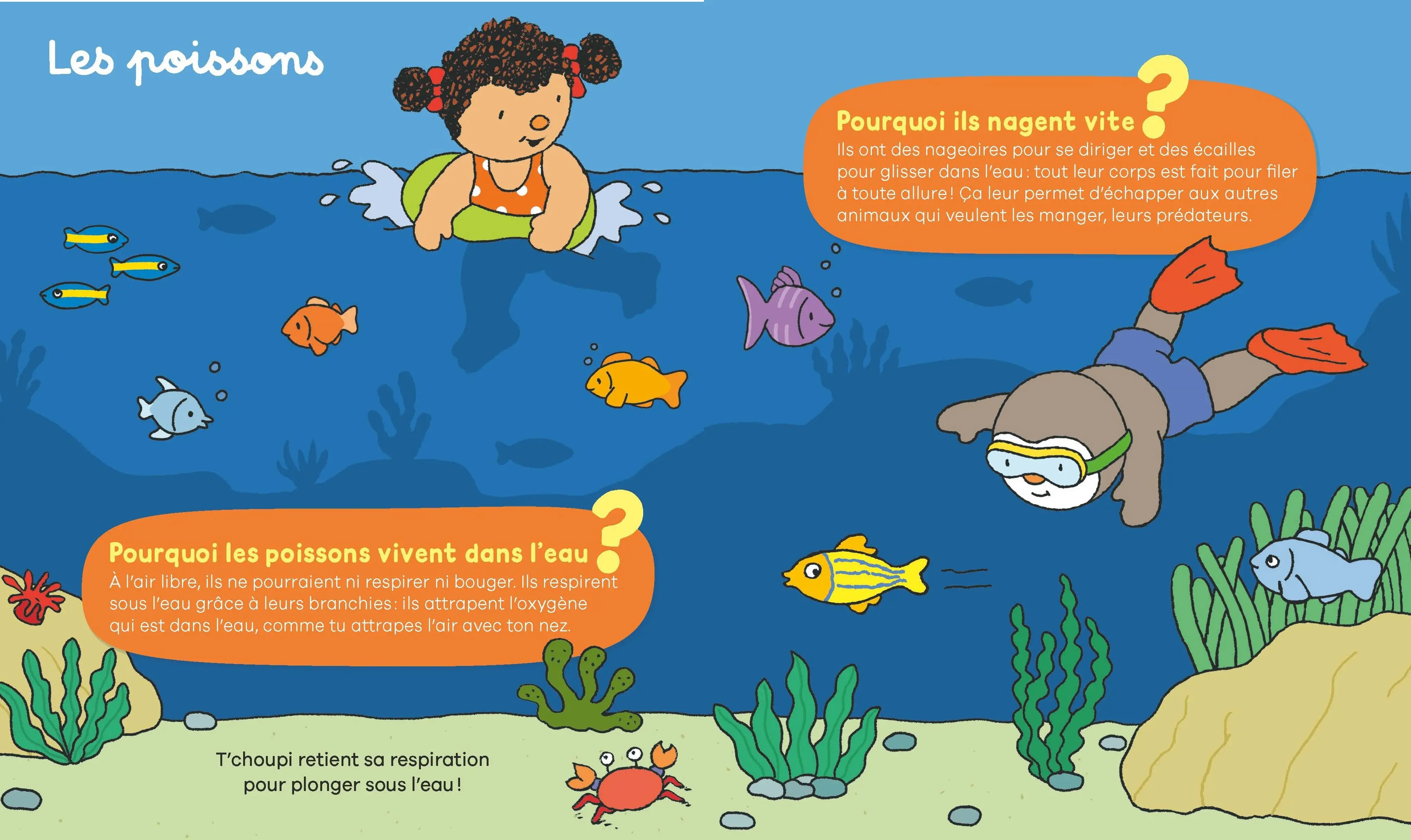 Les pourquoi de T'choupi - la mer - Un documentaire parfait pour les enfants dès 2 ans  - Livre documentaire - 9782095058173 - page-interieure 04