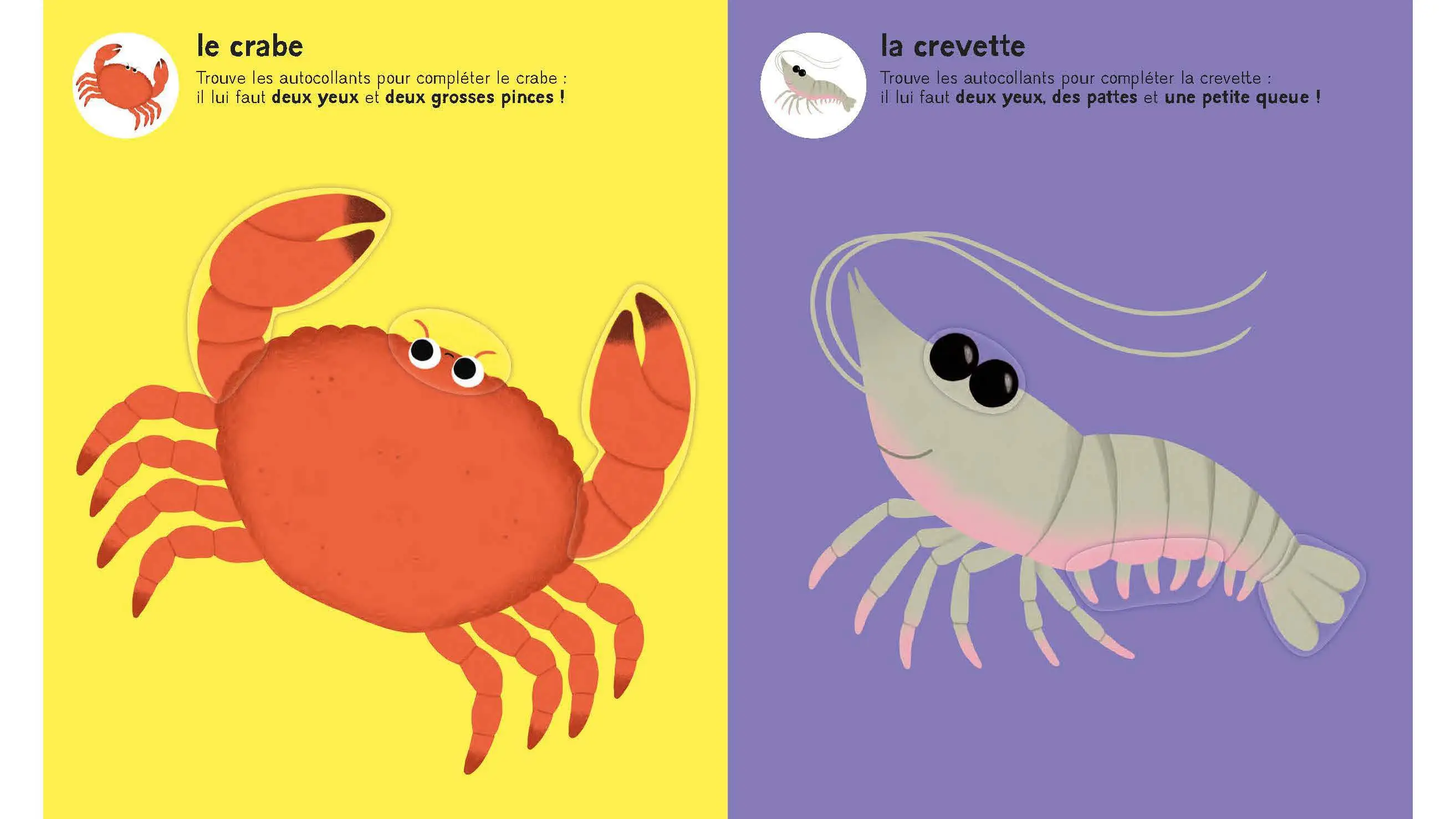 Mes premiers autocollants - Les animaux de la mer - Autocollants repositionnables - Dès 18 mois  - Cahier d'activités - 9782095061494 - page-interieure 04