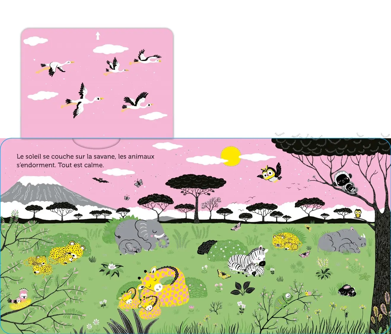 Promenade dans la savane -  livre d'éveil animé, pour les bébés dès 6 mois - Livre d'éveil - 9782092497043 - page-interieure 05