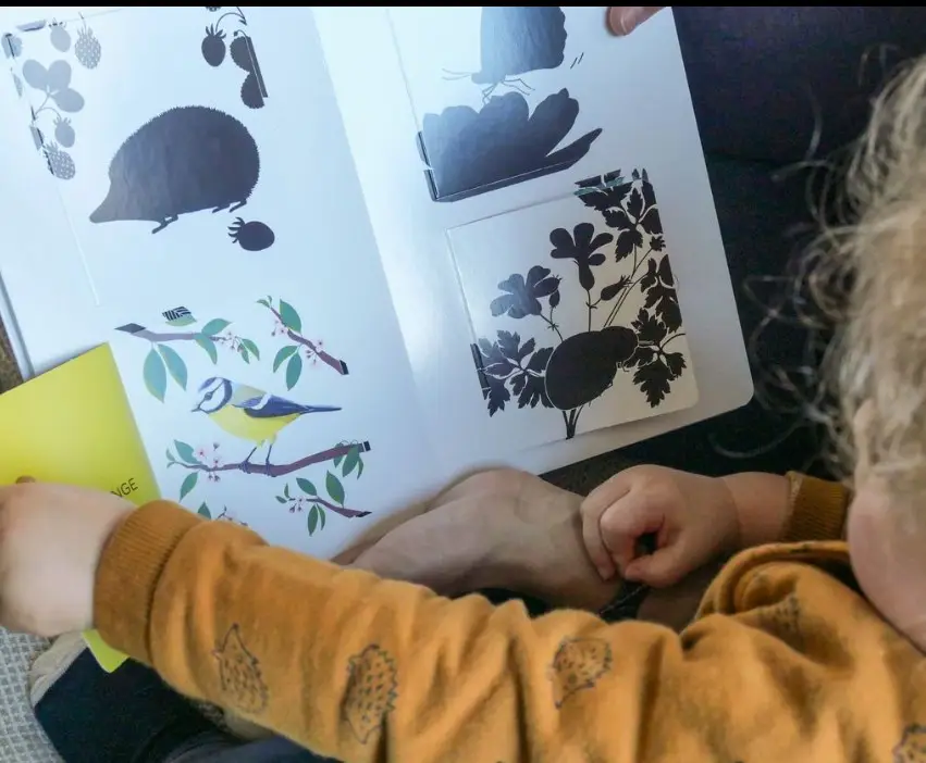 Imagier des animaux - un livre animé avec 48 flaps pour découvrir les animaux - dès 12 mois - Livre d'éveil - 9782095027711 - page intérieure 05