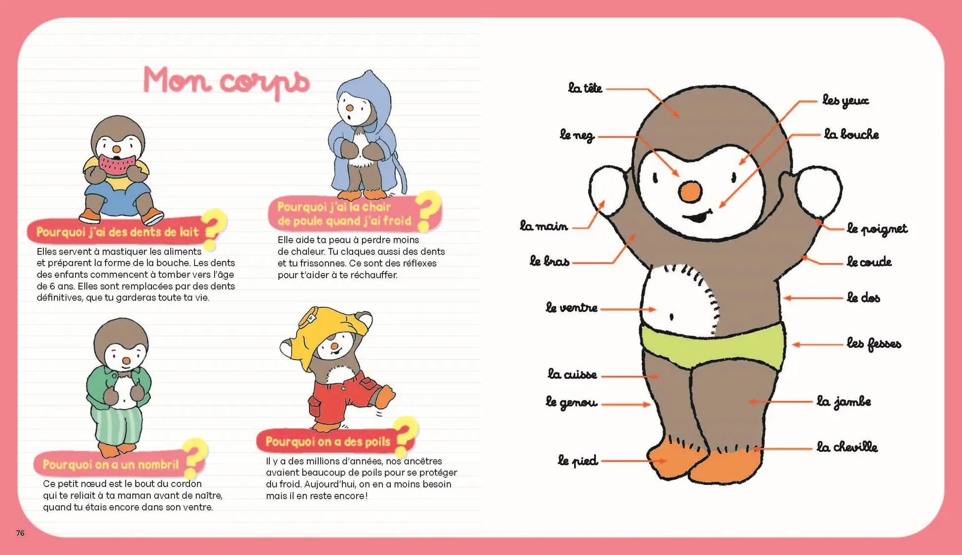 T'choupi : mon grand livre des pourquoi ? 144 questions-réponses pour découvrir le monde avec T'choupi - dès 3 ans - Livre documentaire - 9782095029418 - page-interieure 05