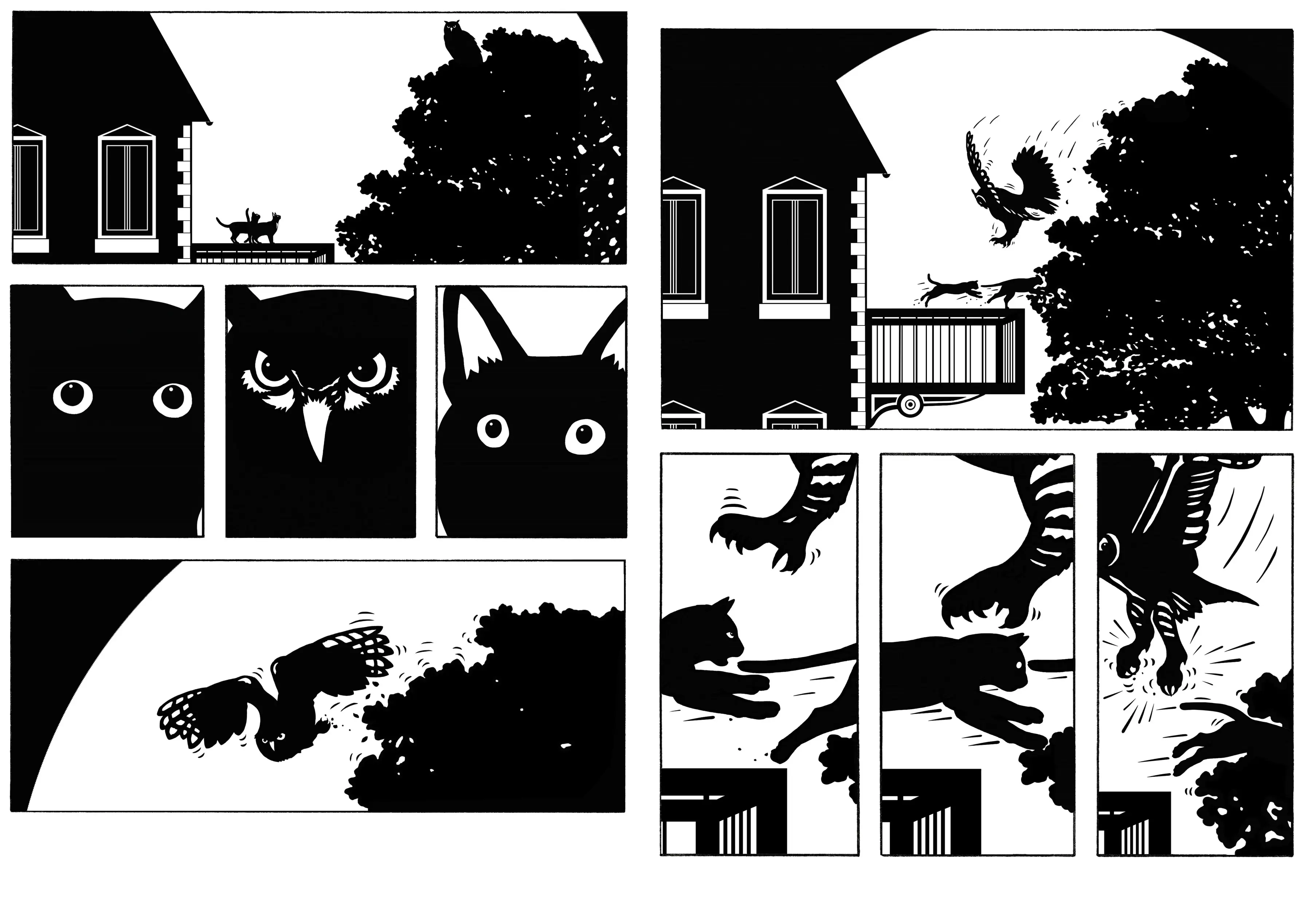 Chats perchés - MINI BULLES - BD sans texte - dès 3 ans - BD - 9782095037123 - page-interieure 05