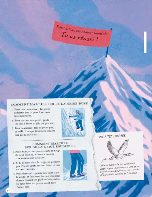 Il y a une montagne dans ce livre - un magnifique album avec des pages panoramiques à explorer à partir de 7 ans - Livre documentaire - 9782095037758 - page-interieure 05
