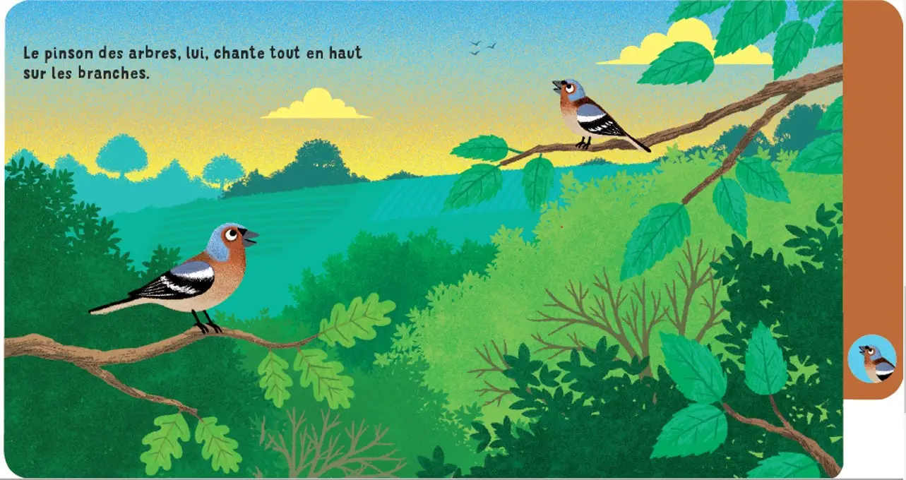 Une journée en forêt - un livre à onglets pour explorer et découvrir la forêt - dès 10 mois - Livre d'éveil - 9782095043827 - page-interieure 05