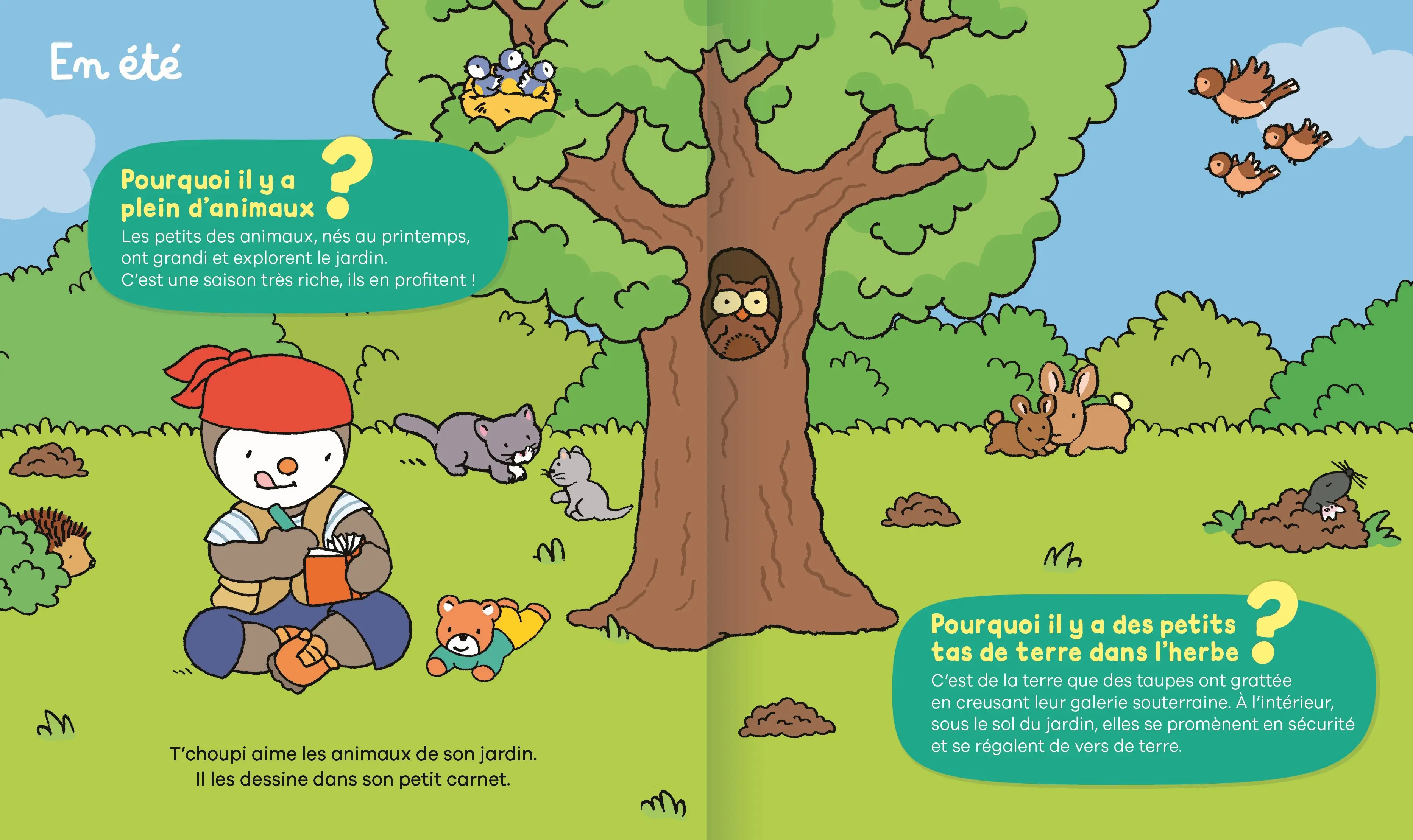 Les pourquoi de T'choupi - Le jardin - 24 questions réponses pour partir à la découverte du jardin avec T'choupi ! - dès 2 ans - Livre documentaire - 9782095044213 - page-interieure 05