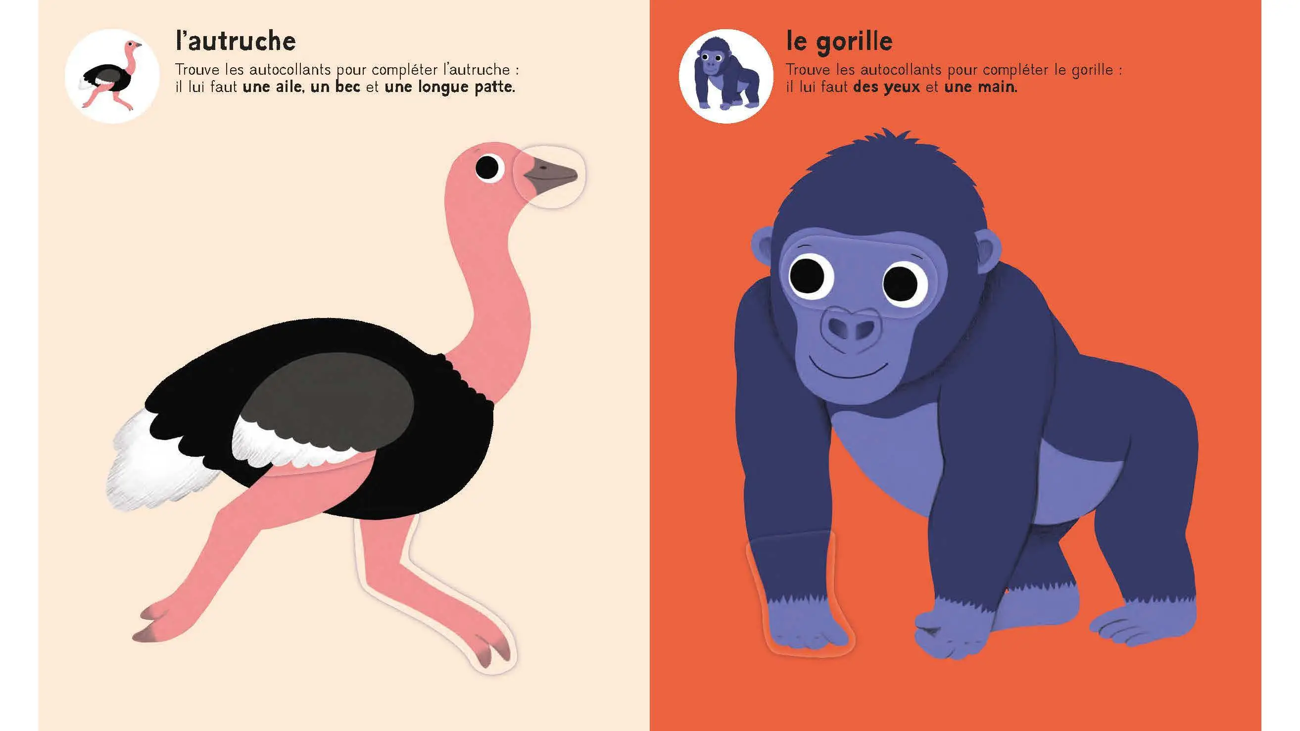 Mes premiers autocollants - Les animaux sauvages - Autocollants repositionnables - Dès 18 mois  - Cahier d'activités - 9782095061487 - page-interieure 05