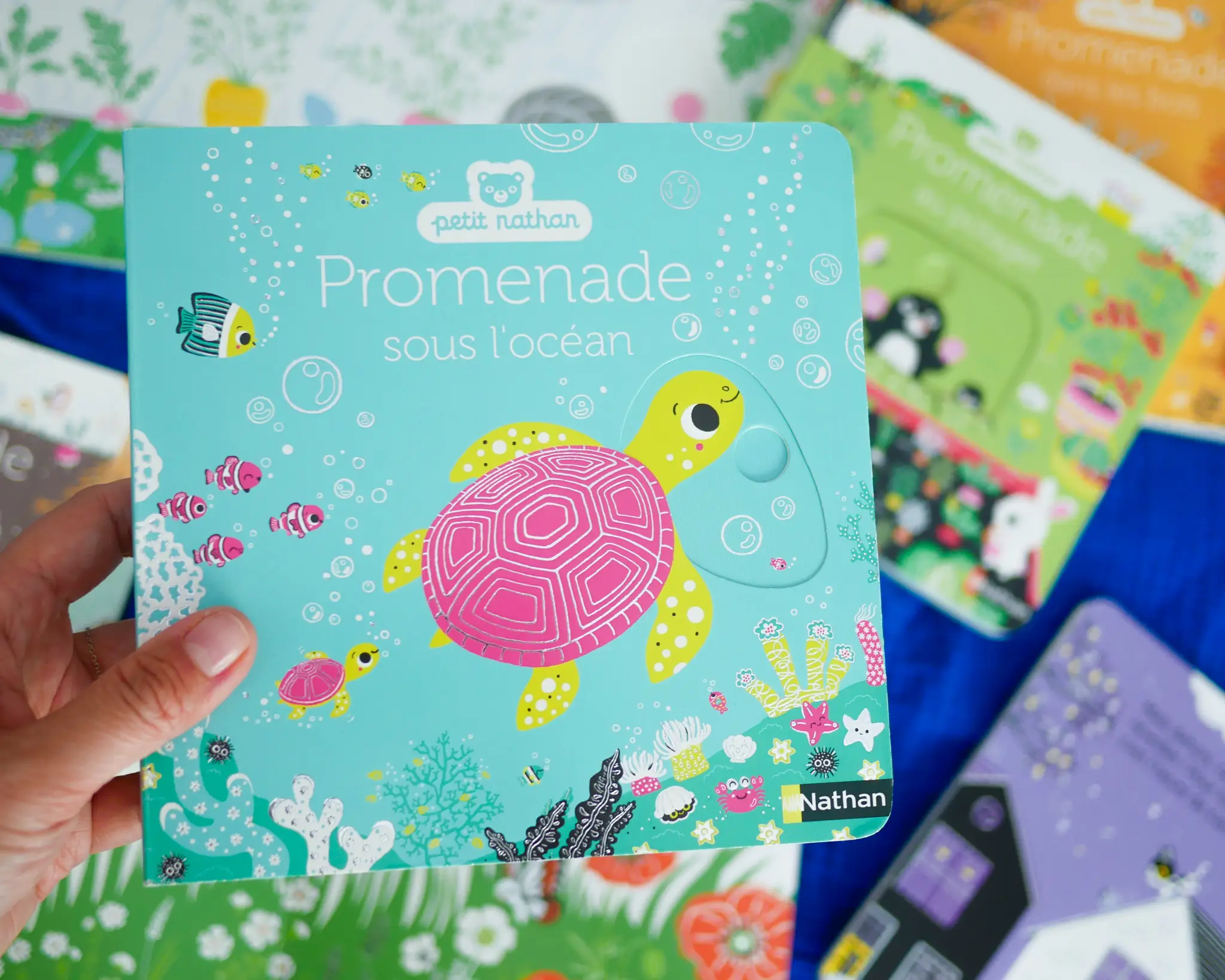 Promenade sous l'océan -  livre d'éveil animé, pour les bébés dès 6 mois - Livre d'éveil - 9782092596593 - page-intérieure 06