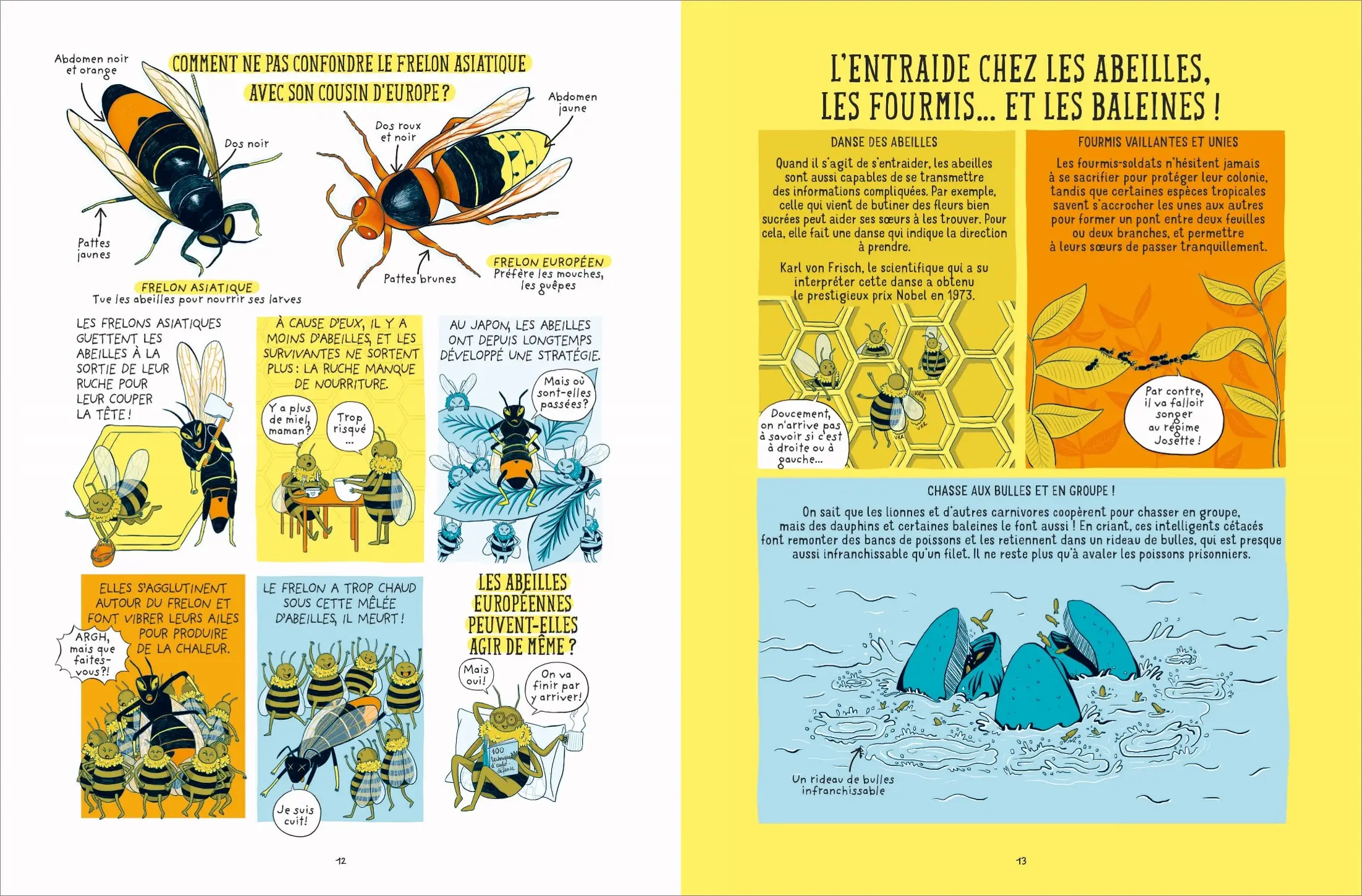 Héroïques - Animaux, Végétaux, Humains - BD jeunesse - Dès 9 ans - BD - 9782092791066 - page intérieure 06