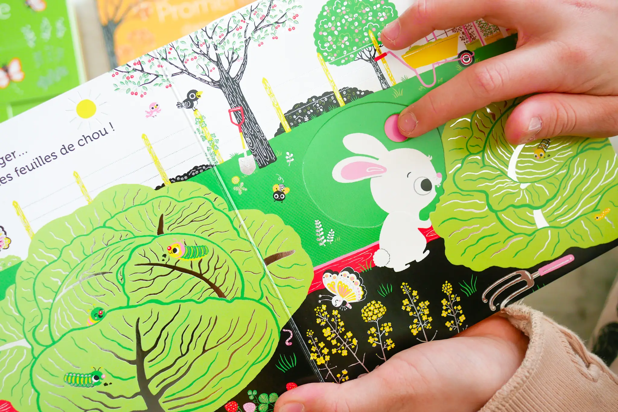 Promenade au potager -  livre d'éveil animé, pour les bébés dès 6 mois - Livre d'éveil - 9782092791561 - page-intérieure 06