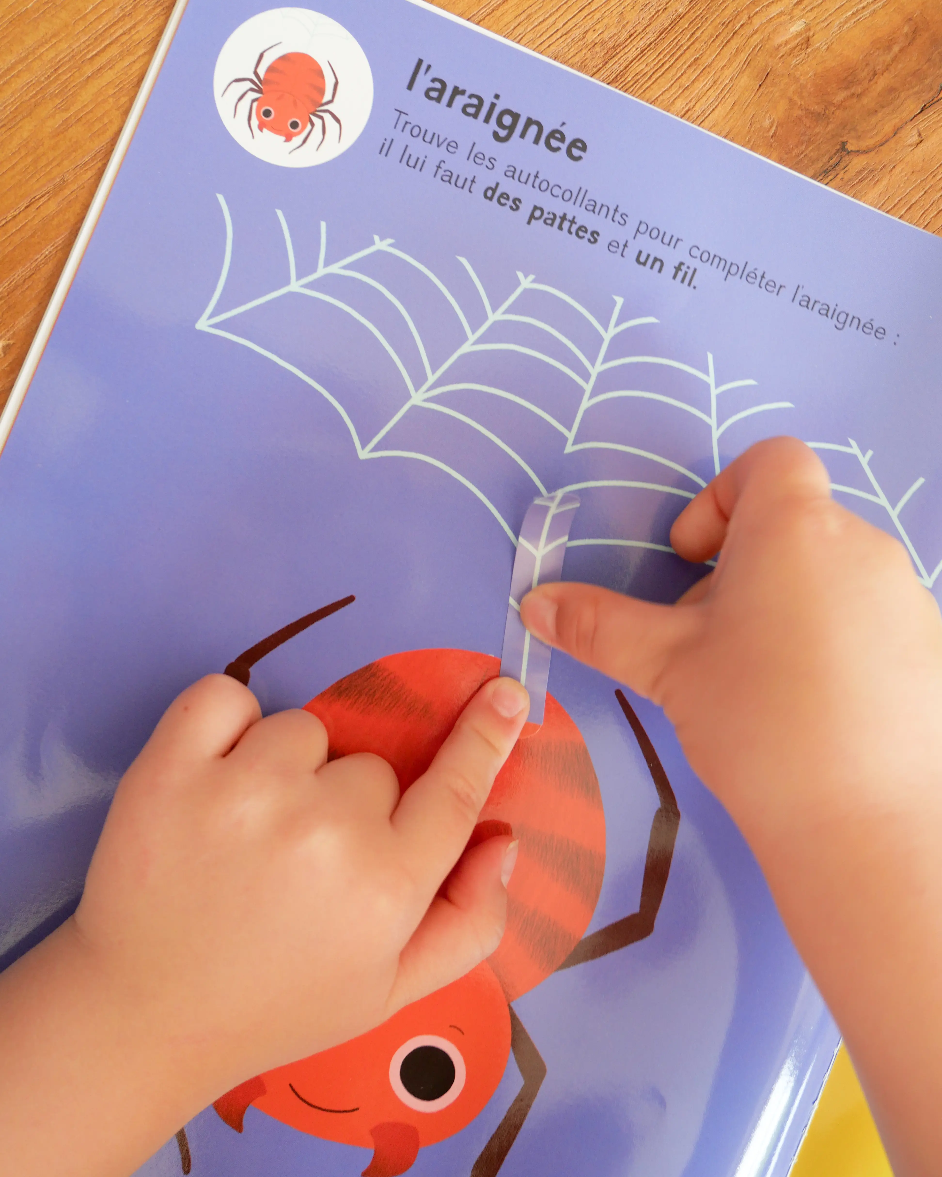Mes premiers autocollants - Les animaux du jardin - Autocollants repositionnables - Dès 18 mois  - Cahier d'activités - 9782095061500 - page-interieure 06