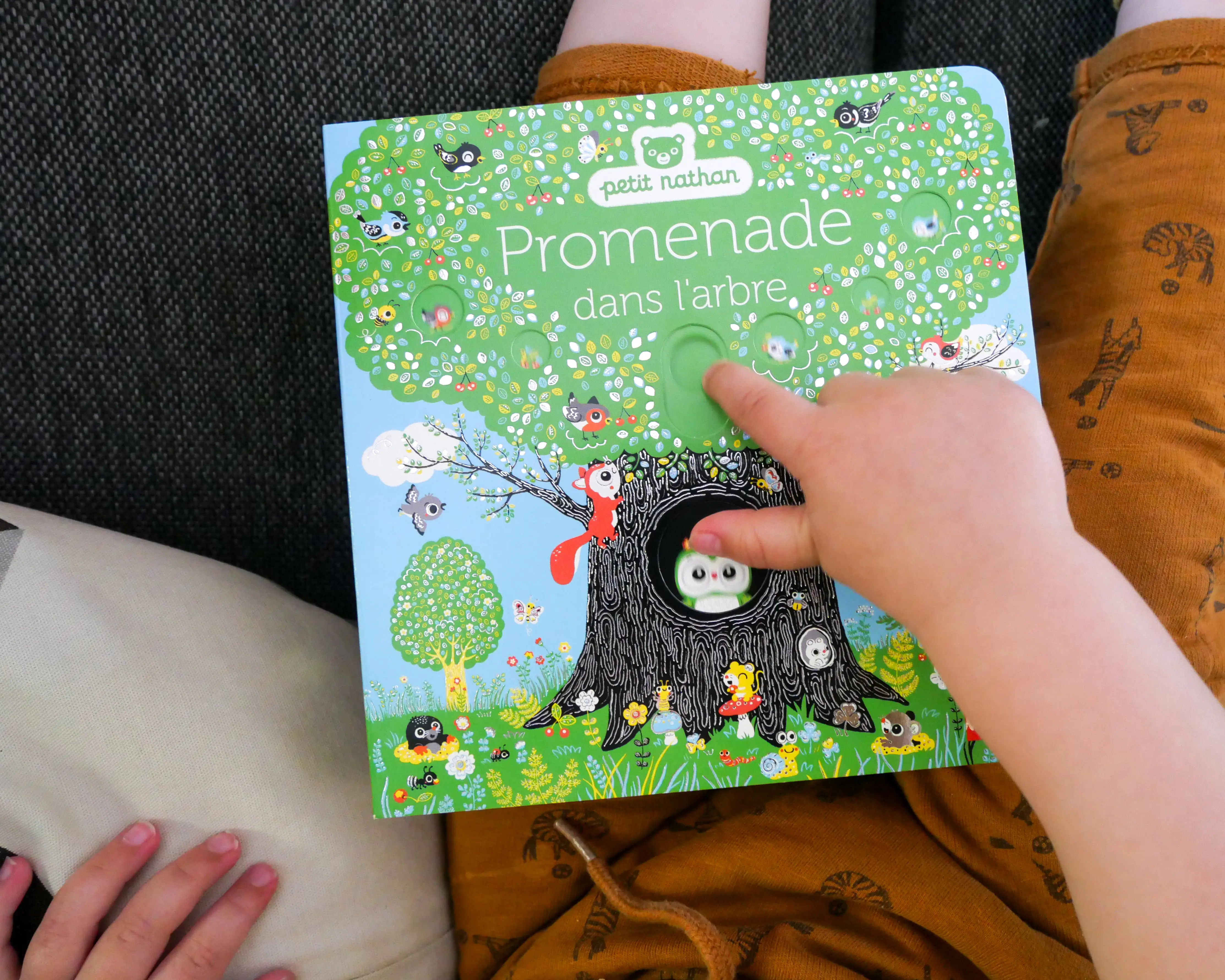 Promenade dans l'arbre - livre animé pour les bébés - dès 6 mois - Livre d'éveil - 9782095024383 - page-intérieure 07