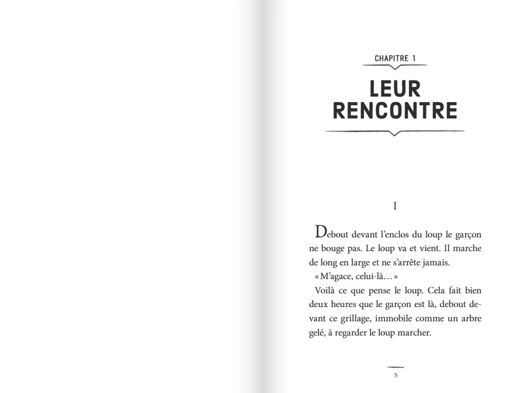 L'Oeil du loup - Daniel Pennac - Roman dès 7 ans - Roman - 9782092493588 - page interieure 1