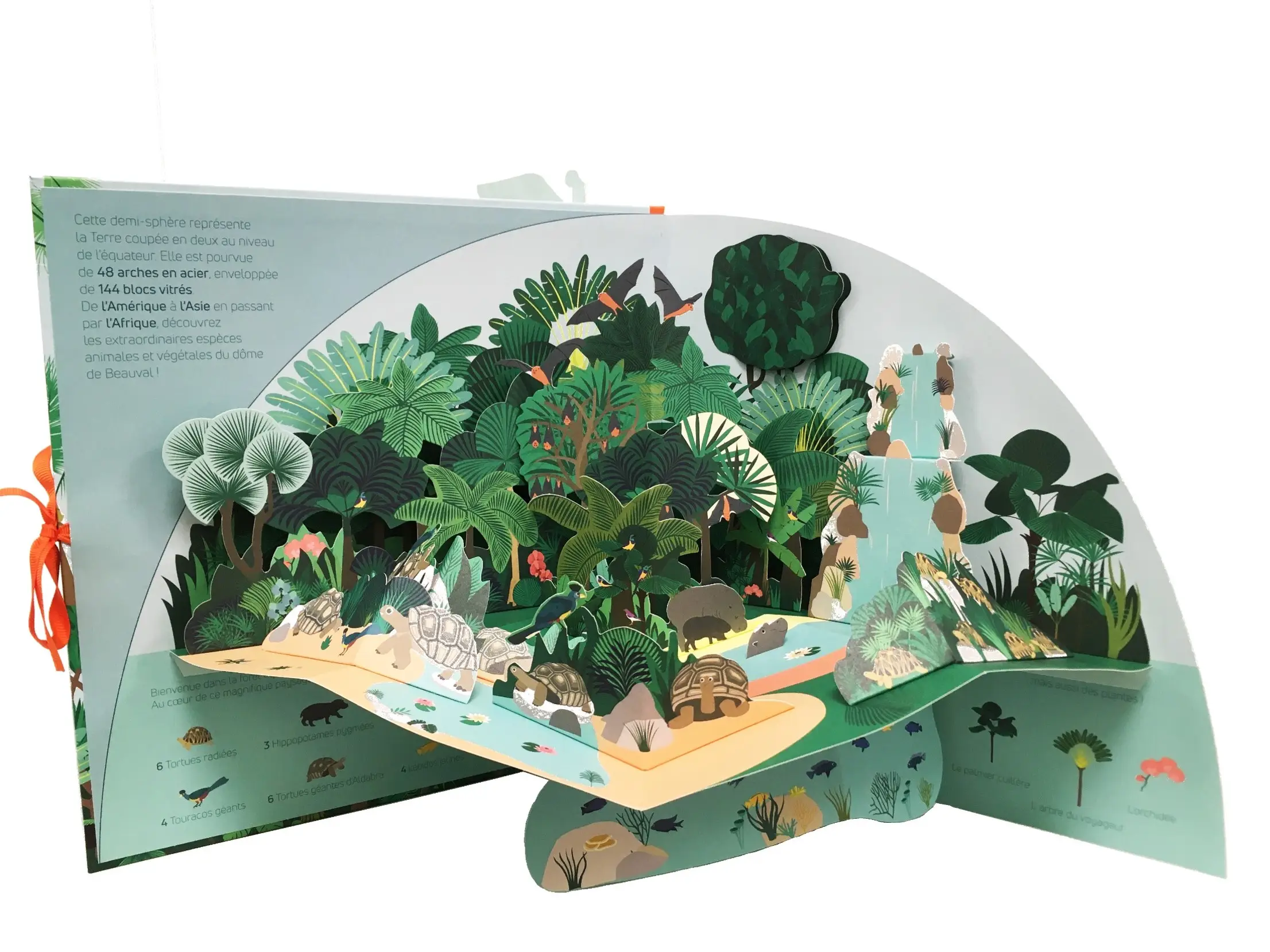 Grand livre pop-up du dôme de Beauval - ZooParc de Beauval - Livre pop-up - dès 4 ans  - Livre documentaire - 9782092591246 - page intérieure 1