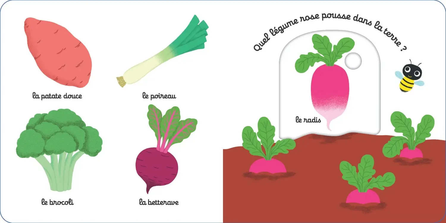 Mon imagier des légumes - Kididoc - Livre animé - dès 1 an - Livre documentaire - 9782095025809 - page-interieure 1
