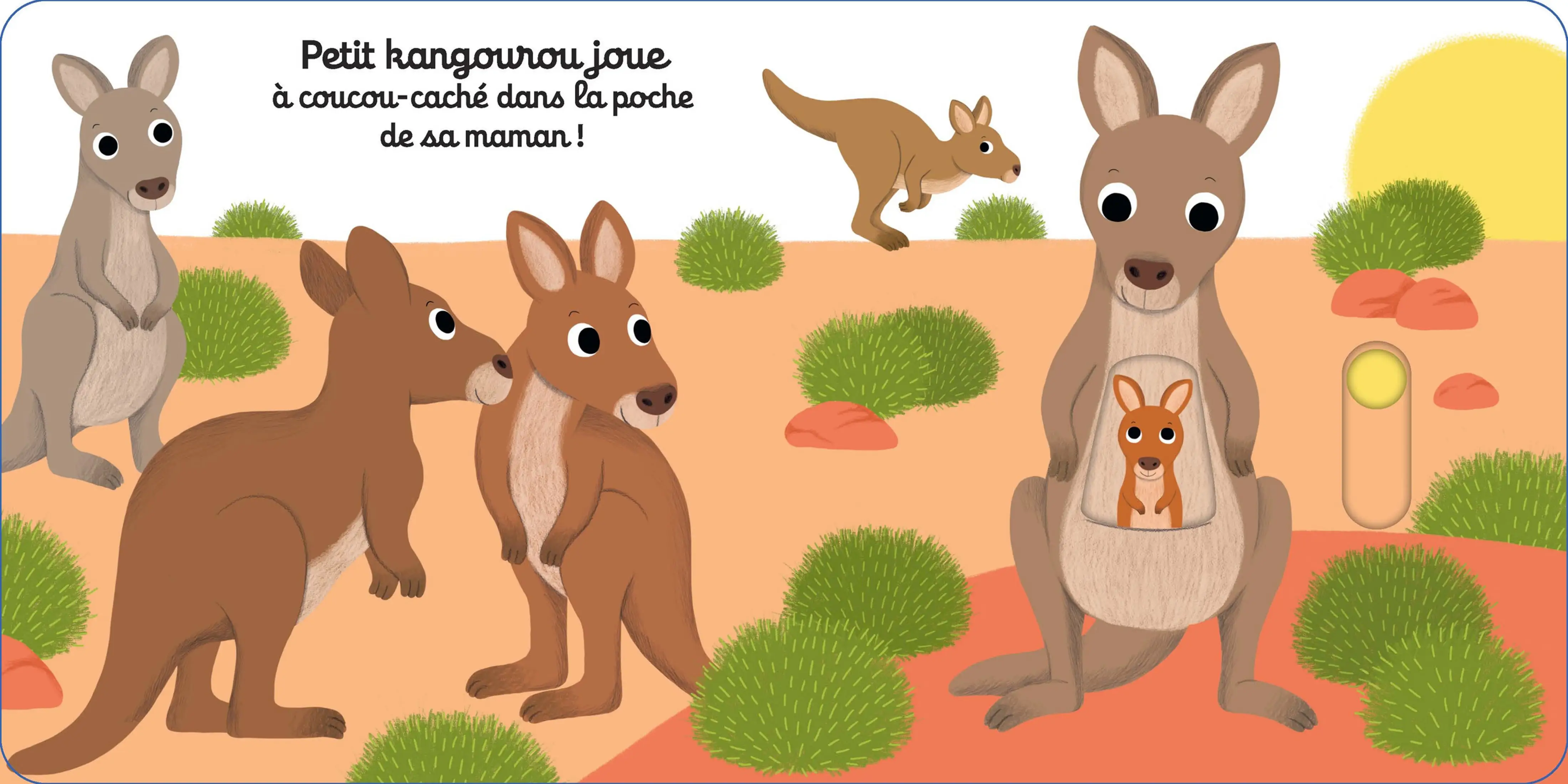 Coucou, petit kangourou ! - Histoire animée Kididoc, dès 1 an - Livre documentaire - 9782095028817 - page-intérieure 1