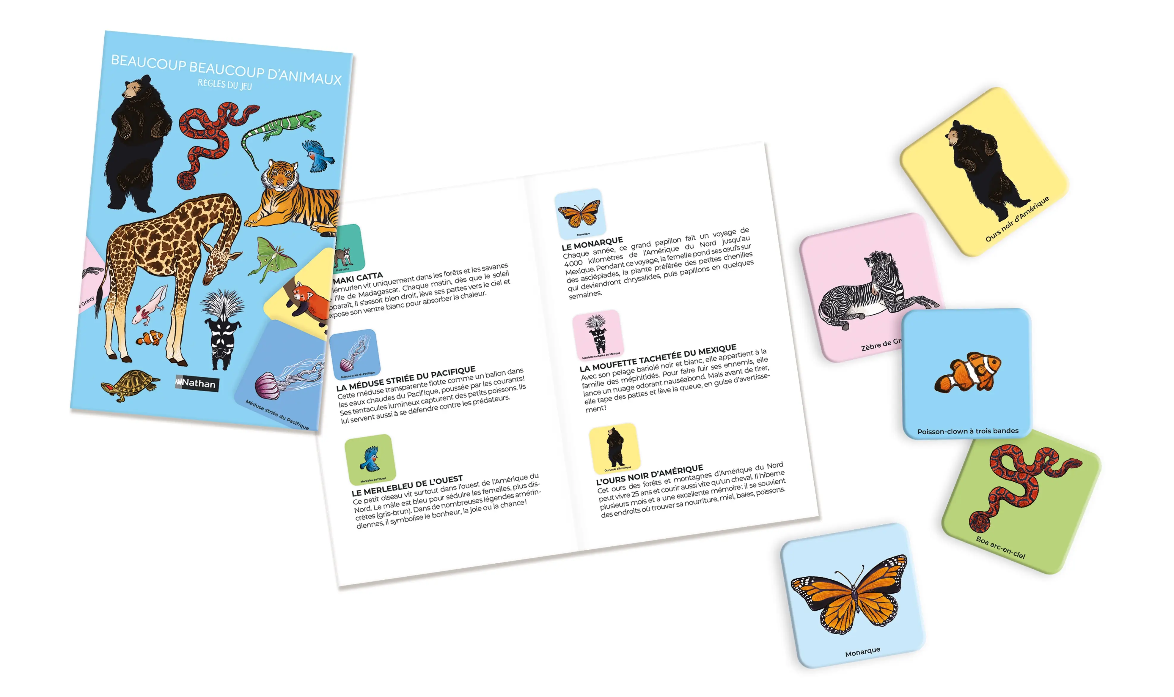 Mémo des animaux - Un jeu de memory extraordinaire pour découvrir beaucoup, beaucoup d'animaux ! - Dès 4 ans - Coffret - 9782095058814 - page interieure 1