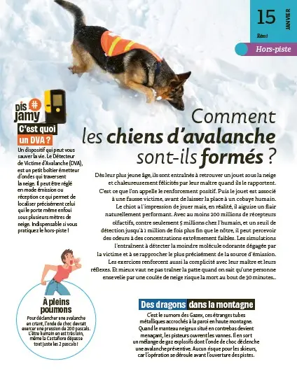 Toute une année avec Jamy - La curiosité n'a jamais été aussi addictive - Jamy Gourmaud (Nouveauté 2026) - Livre documentaire - 9782095066130 - page interieure 1