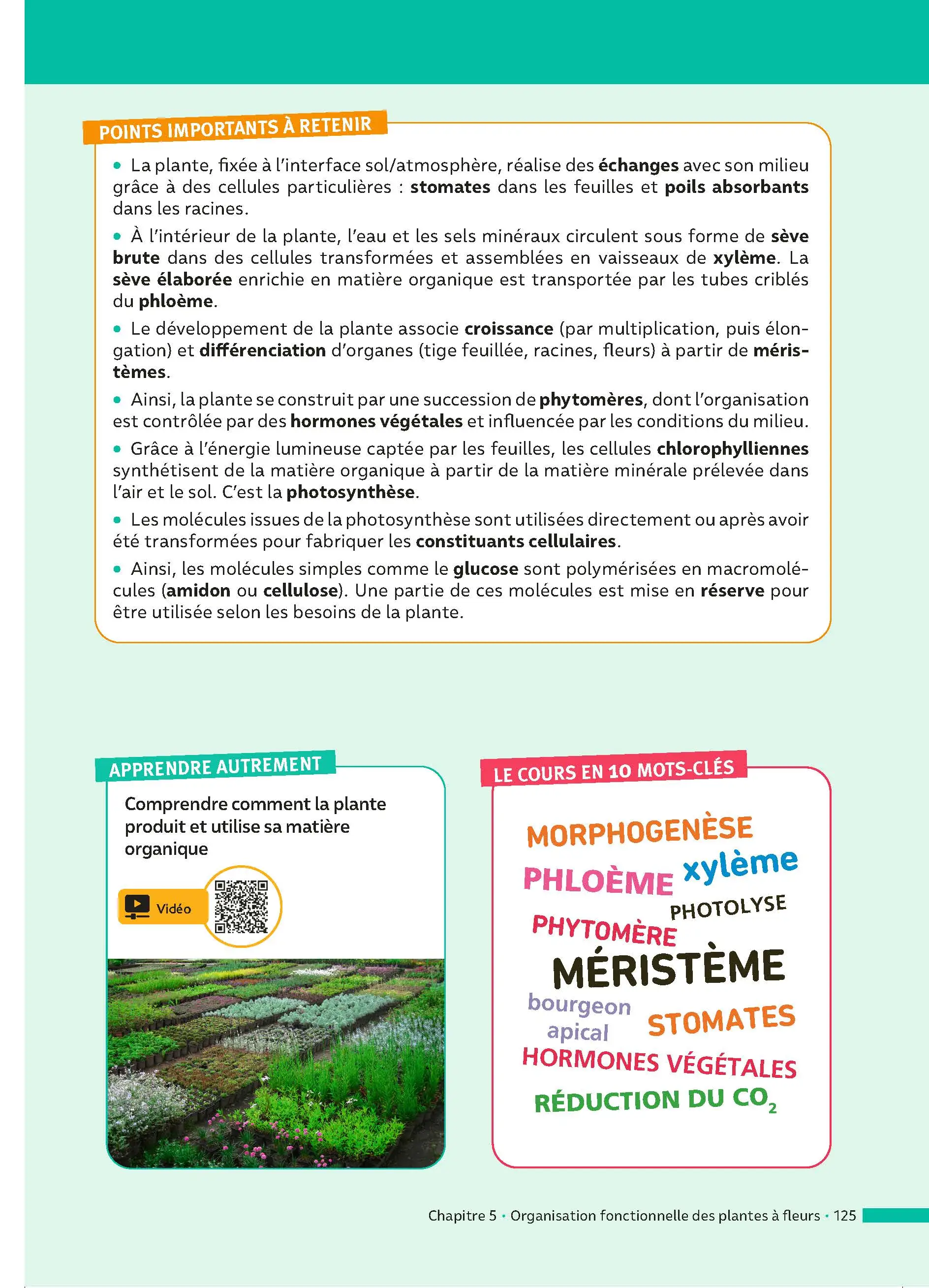 SVT Terminale (Sciences de la vie et de la Terre) - ABC Réussite - Bac 2027 - Enseignement de spécialité Tle - Cours, Méthode, Exercices et Sujets corrigés - EPUB - Livre de cours, méthode et exercices - 9782095014292 - page intérieure 125