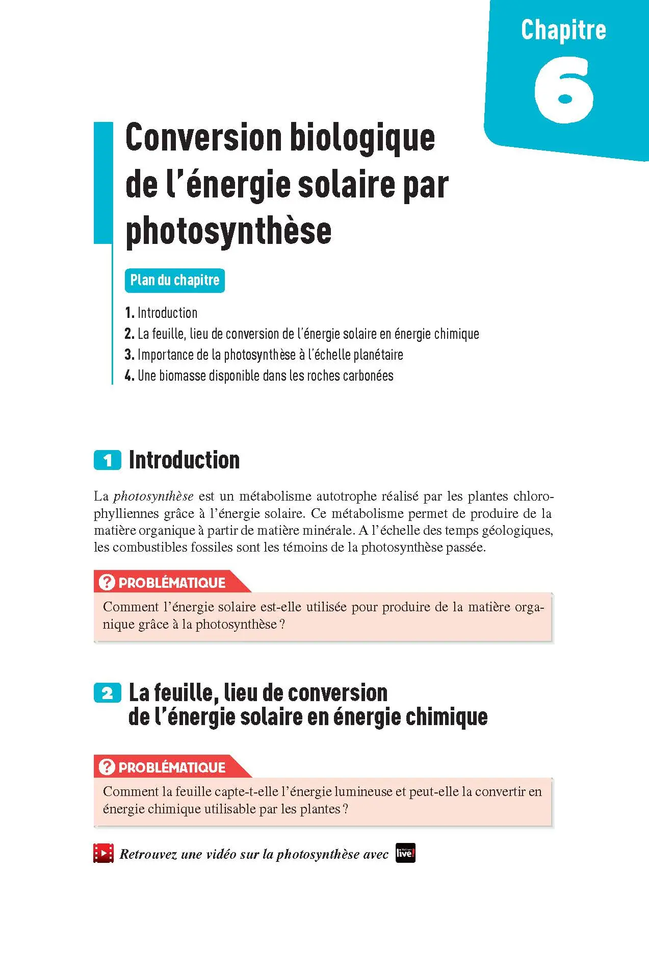 Enseignement Scientifique Première - Interros des lycées 1re - Les vrais exos du BAC - + de 100 exercices avec corrigés détaillés - BAC 2027 - Cahier d'exercices - 9782091575681 - page intérieure 141