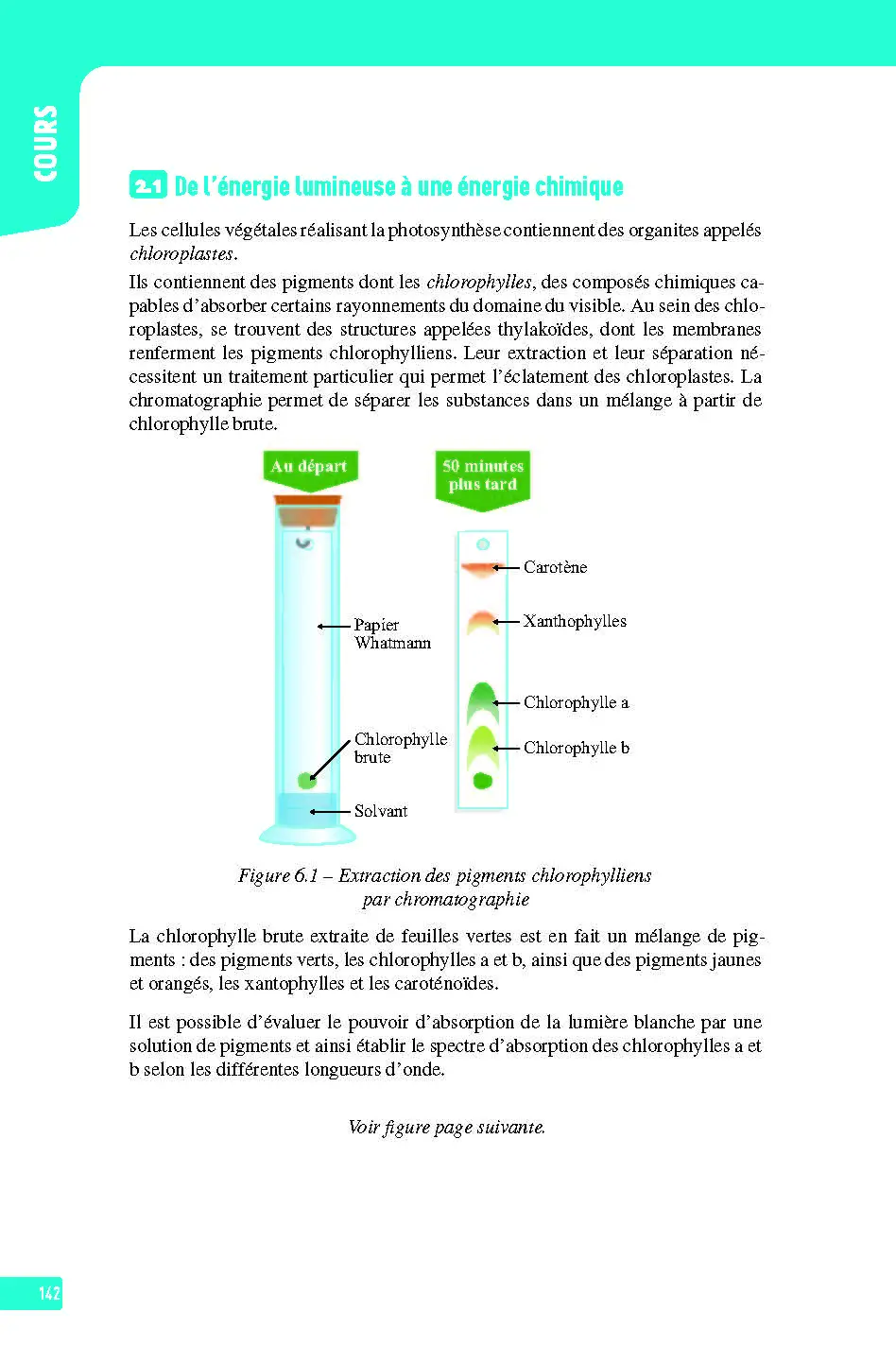 Enseignement Scientifique Première - Interros des lycées 1re - Les vrais exos du BAC - + de 100 exercices avec corrigés détaillés - BAC 2027 - Cahier d'exercices - 9782091575681 - page intérieure 142