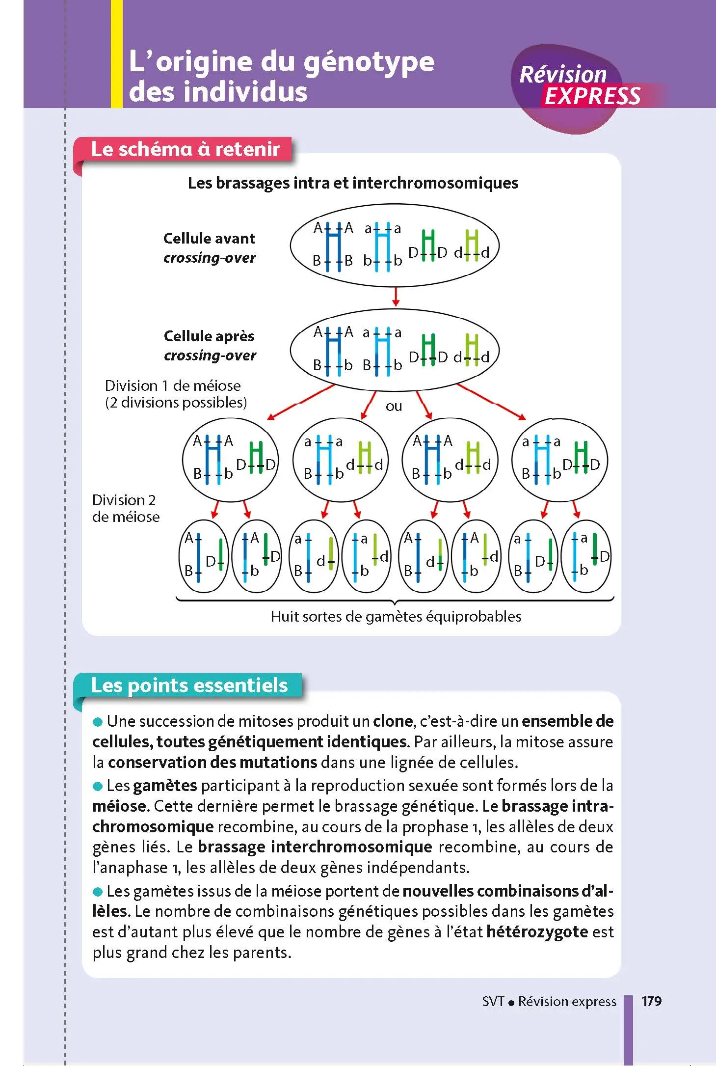 Mes spécialités Physique-Chimie / SVT (Sciences de la vie et de la Terre) - Ma Compil fiches BAC Term - Bac 2027 - Fiches - 9782091575834 - page intérieure 179