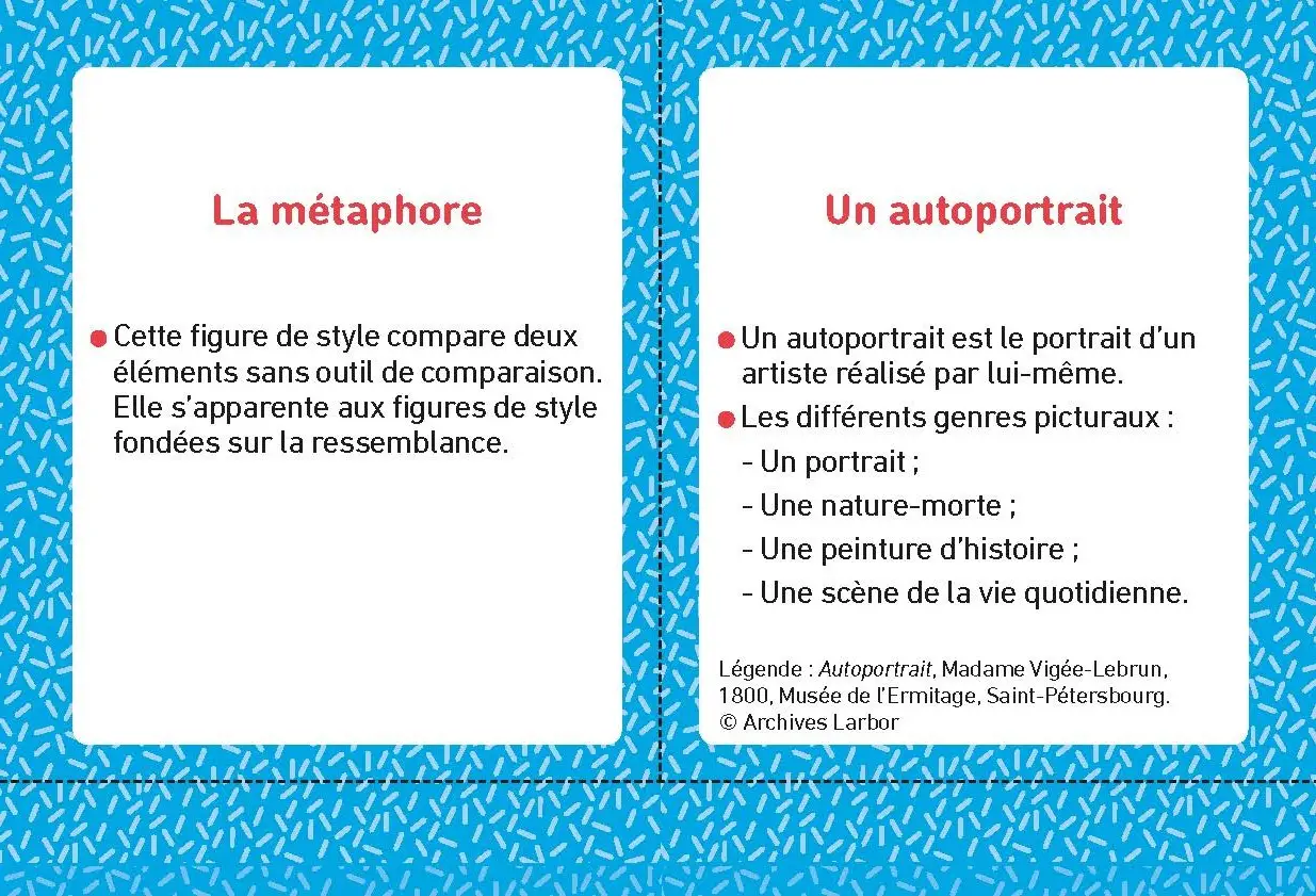 Français 3e - Toutes les cartes en main - Fiches quiz Brevet - Brevet 2027 - Fiches - 9782091573847 -  [page intérieure]2