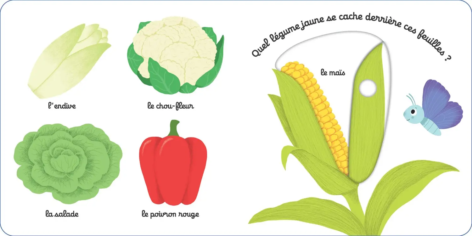 Mon imagier des légumes - Kididoc - Livre animé - dès 1 an - Livre documentaire - 9782095025809 - page-interieure 2