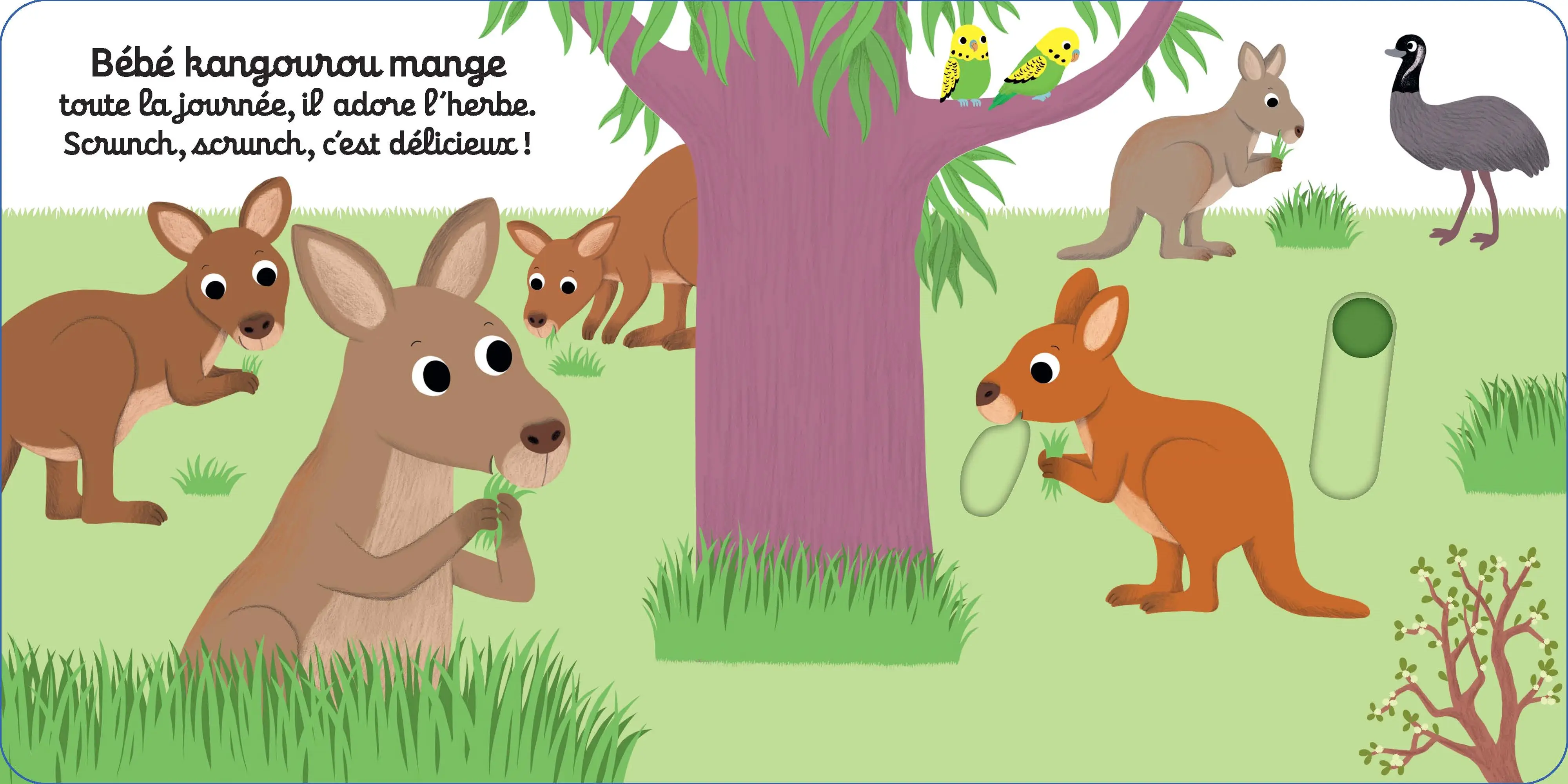 Coucou, petit kangourou ! - Histoire animée Kididoc, dès 1 an - Livre documentaire - 9782095028817 - page-intérieure 2