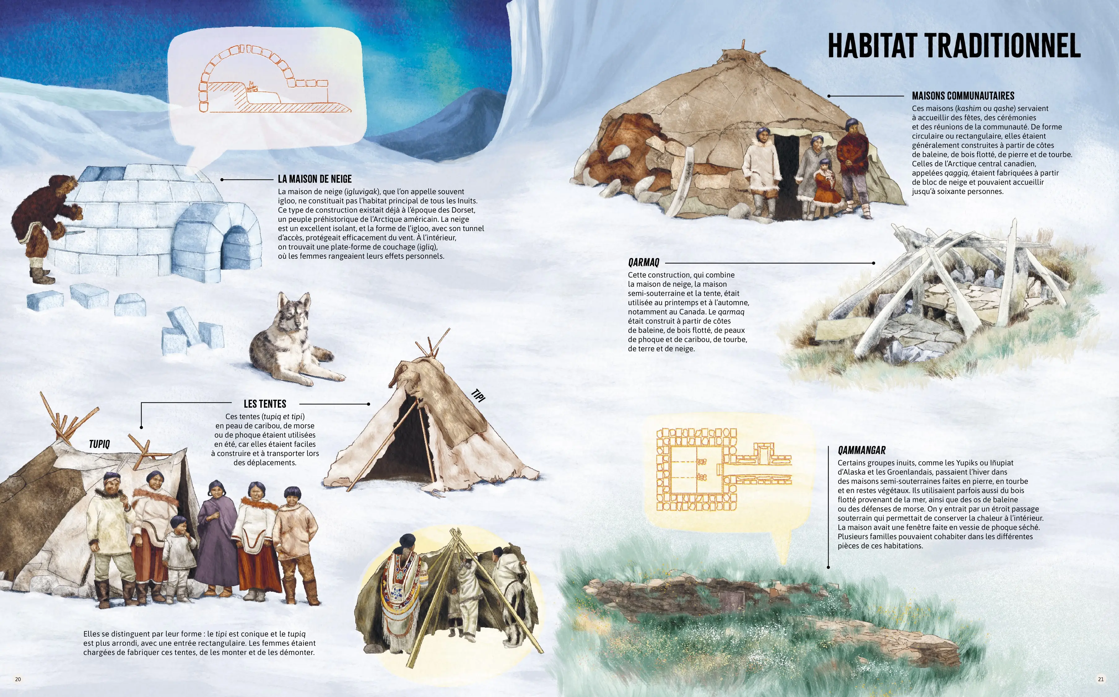 Inuites - La vie des femmes en Arctique - Un album documentaire à découvrir dès 10 ans - Livre documentaire - 9782095054151 - page interieure 2