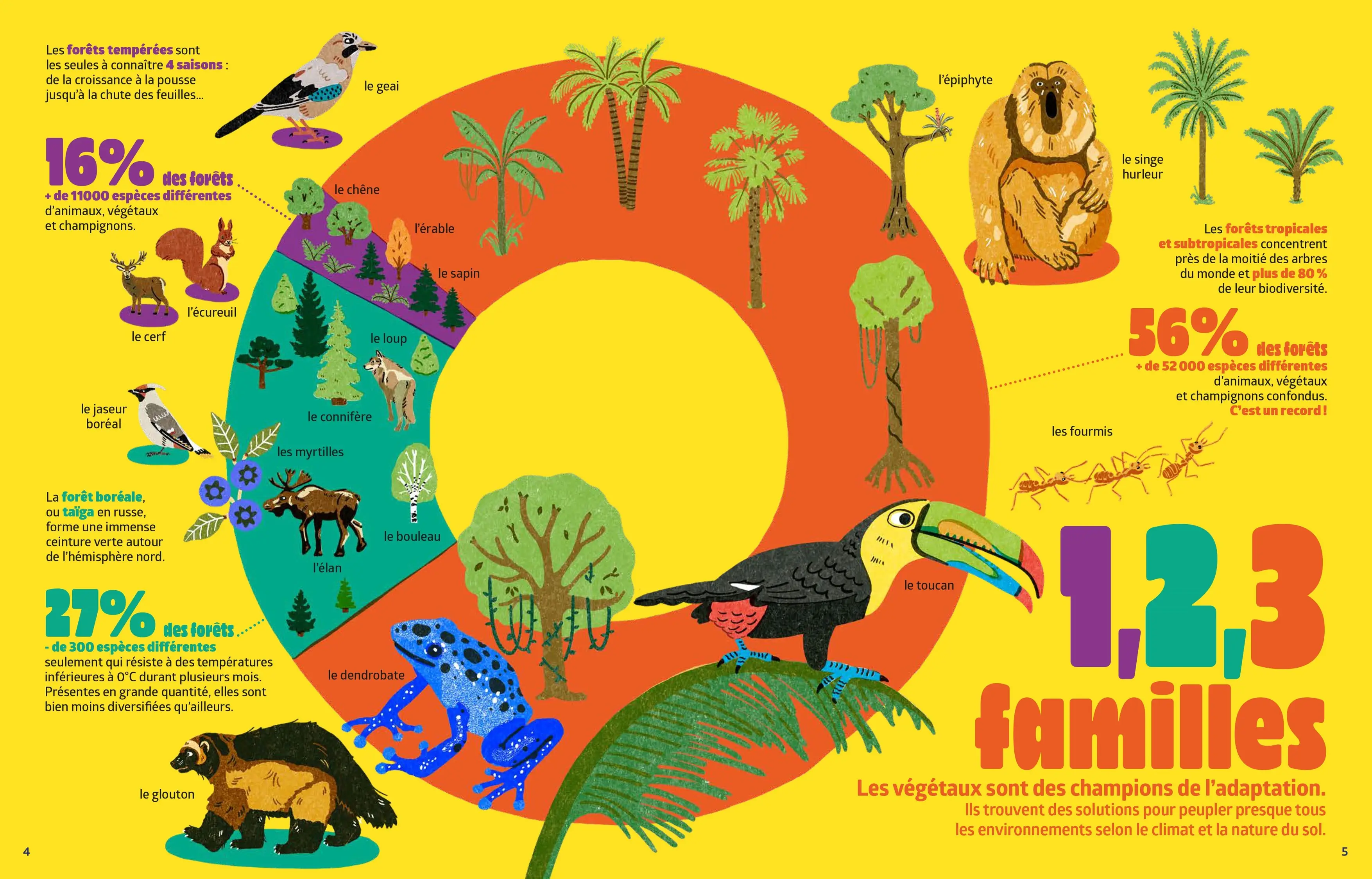 Les forêts - Tout ce que tu ne sais pas encore ! - Un album documentaire BOOST - à découvrir dès 7 ans - Livre documentaire - 9782095062422 - page interieure 2