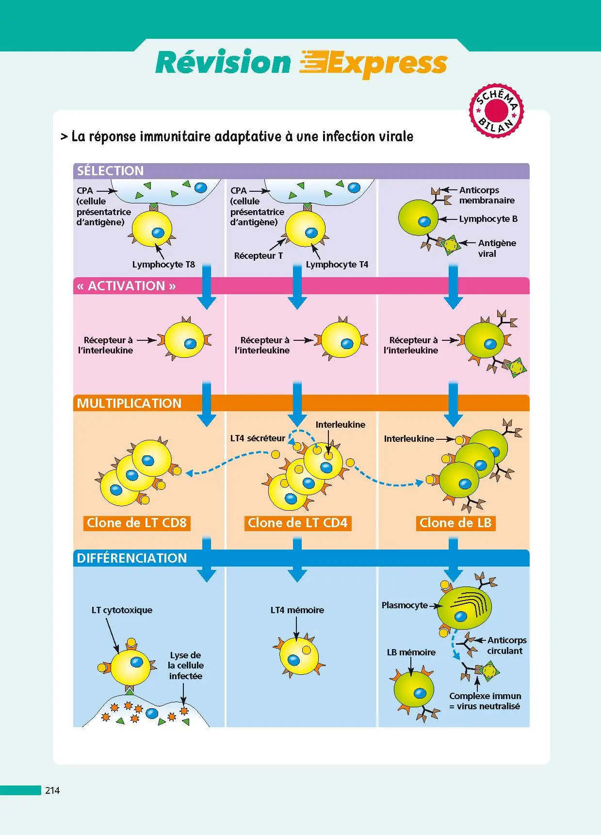 SVT 1re (Sciences de la vie et de la Terre) - ABC Réussite - Bac 2027 - Programme de première 2026-2027 - Enseignement de spécialité - Cours, Méthode, Exercices et Corrigés guidés - Livre de cours, méthode et exercices - 9782091571195 - page intérieure 214