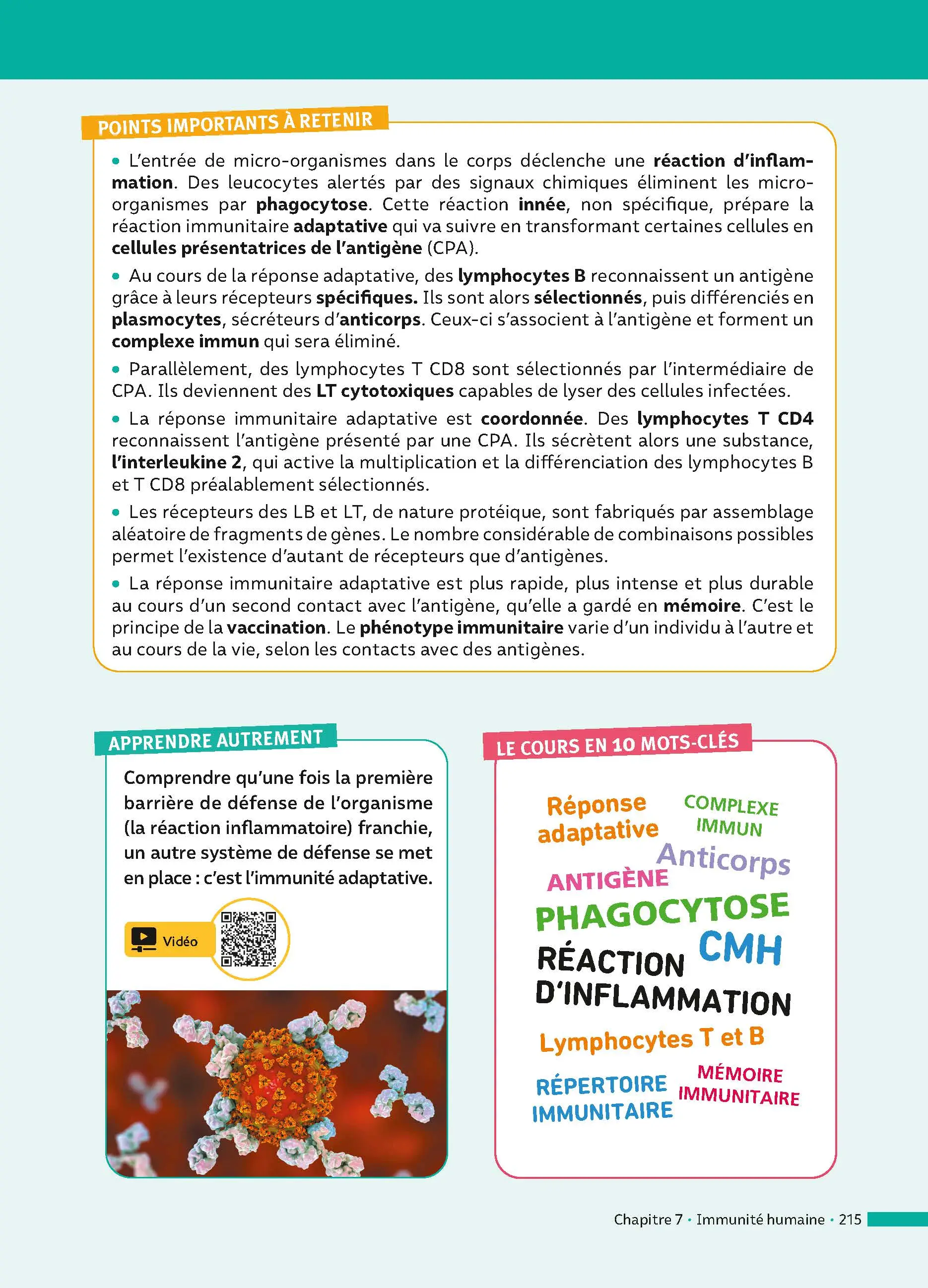 SVT 1re (Sciences de la vie et de la Terre) - ABC Réussite - Bac 2027 - Programme de première 2026-2027 - Enseignement de spécialité - Cours, Méthode, Exercices et Corrigés guidés - Livre de cours, méthode et exercices - 9782091571195 - page intérieure 215