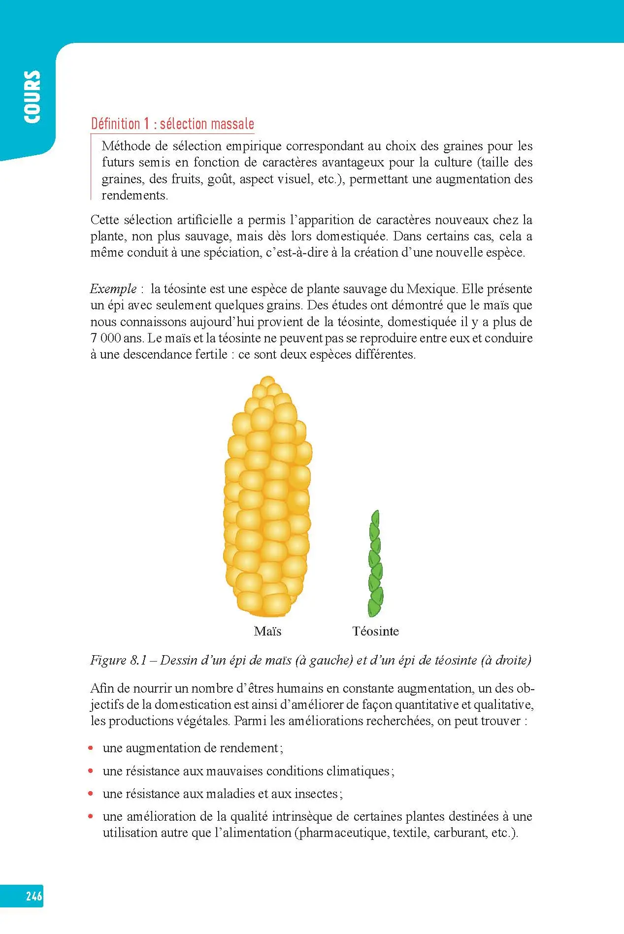SVT (Sciences de la vie et de la Terre) Terminale - Interros des lycées Tle - Les vrais exos du BAC - + de 100 exercices avec corrigés détaillés - BAC 2027 - Cahier d'exercices - 9782095023379 - page intérieure 246