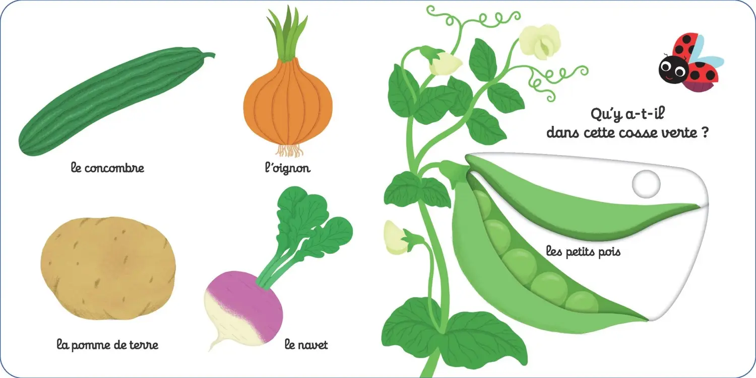 Mon imagier des légumes - Kididoc - Livre animé - dès 1 an - Livre documentaire - 9782095025809 - page-interieure 3