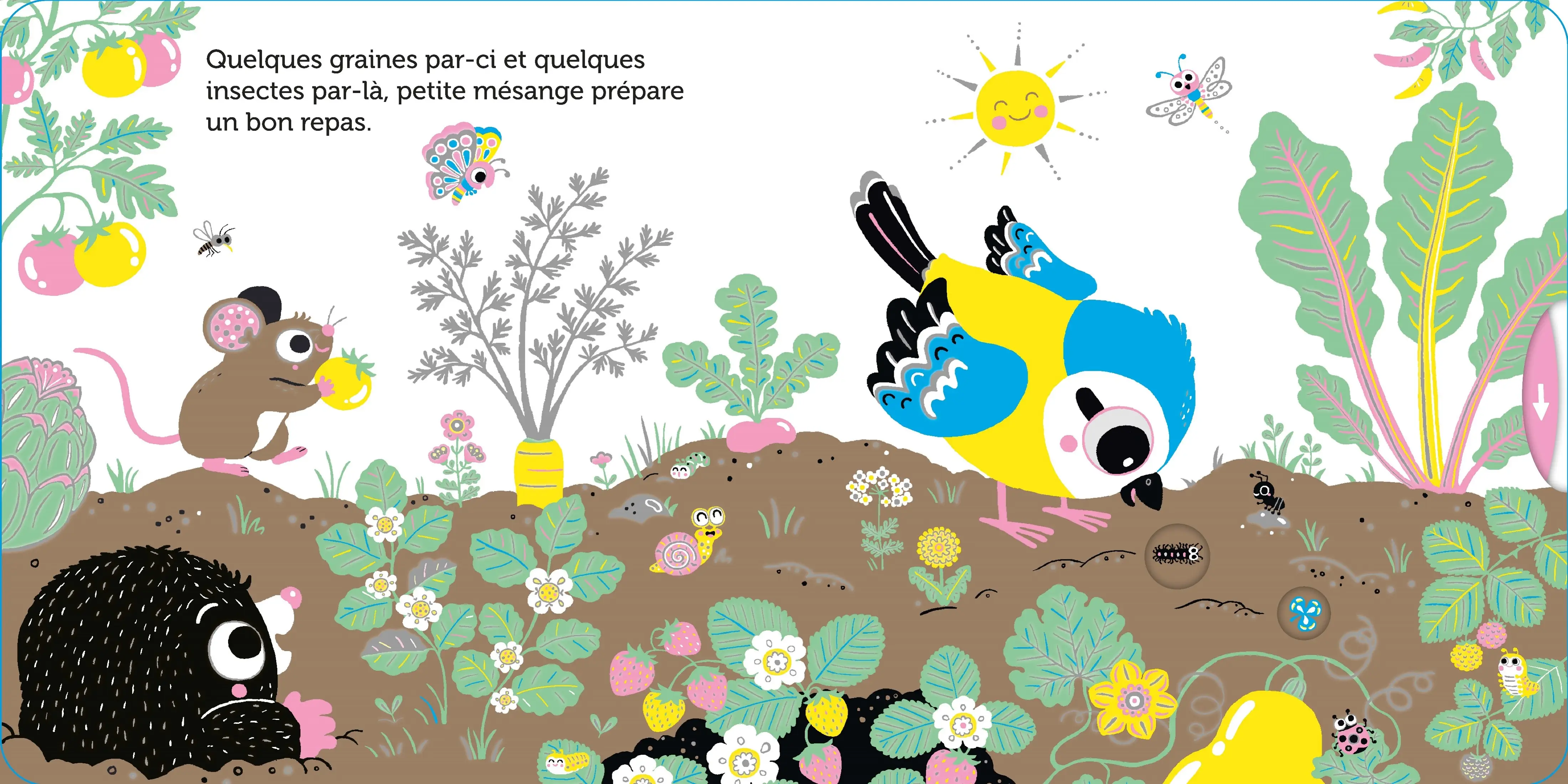 Promenade avec petite mésange - Pour partir à la découverte du jardin - dès 6 mois - Livre d'éveil - 9782095058449 - page interieure 3