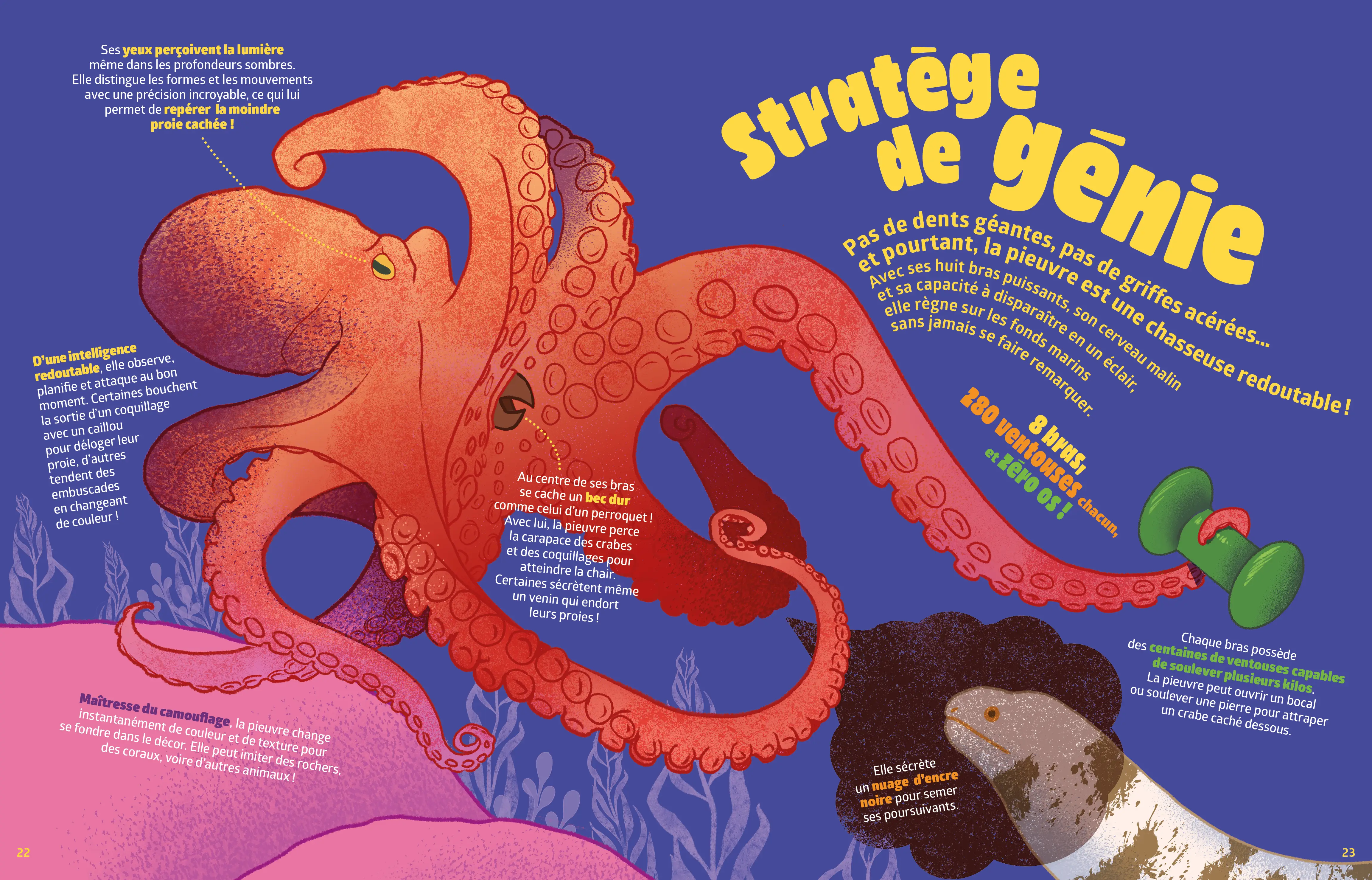 Les superprédateurs - Des portraits captivants des animaux les plus voraces - Dès 7 ans - Livre documentaire - 9782095060527 - page interieure 3 OK