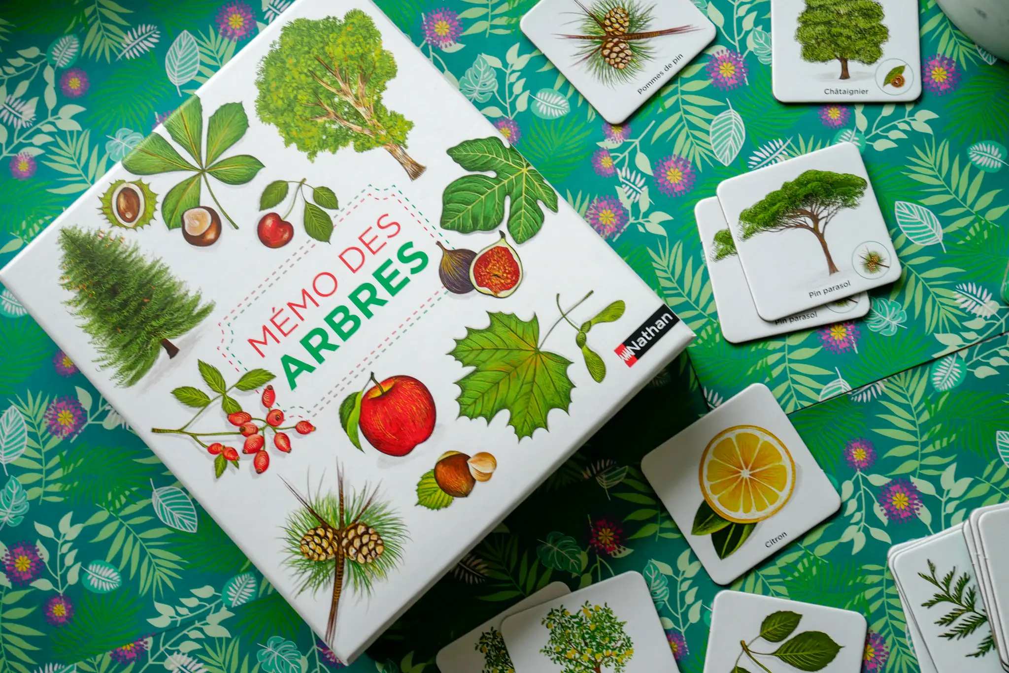 Mémo des arbres - Un jeu de memory pour apprendre en s'amusant en famille - Dès 4 ans - Coffret - 3133092791239 - page-intérieure