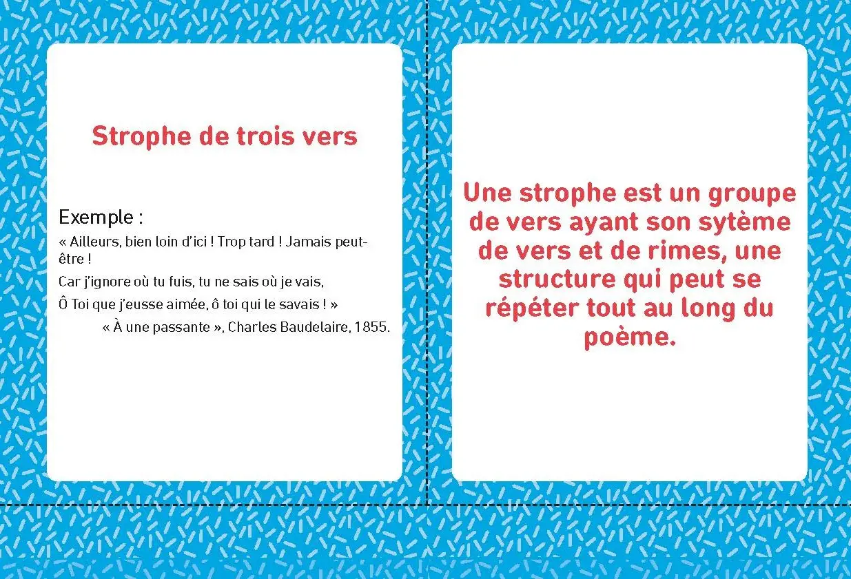 Français 3e - Toutes les cartes en main - Fiches quiz Brevet - Brevet 2027 - Fiches - 9782091573847 -  [page intérieure]4