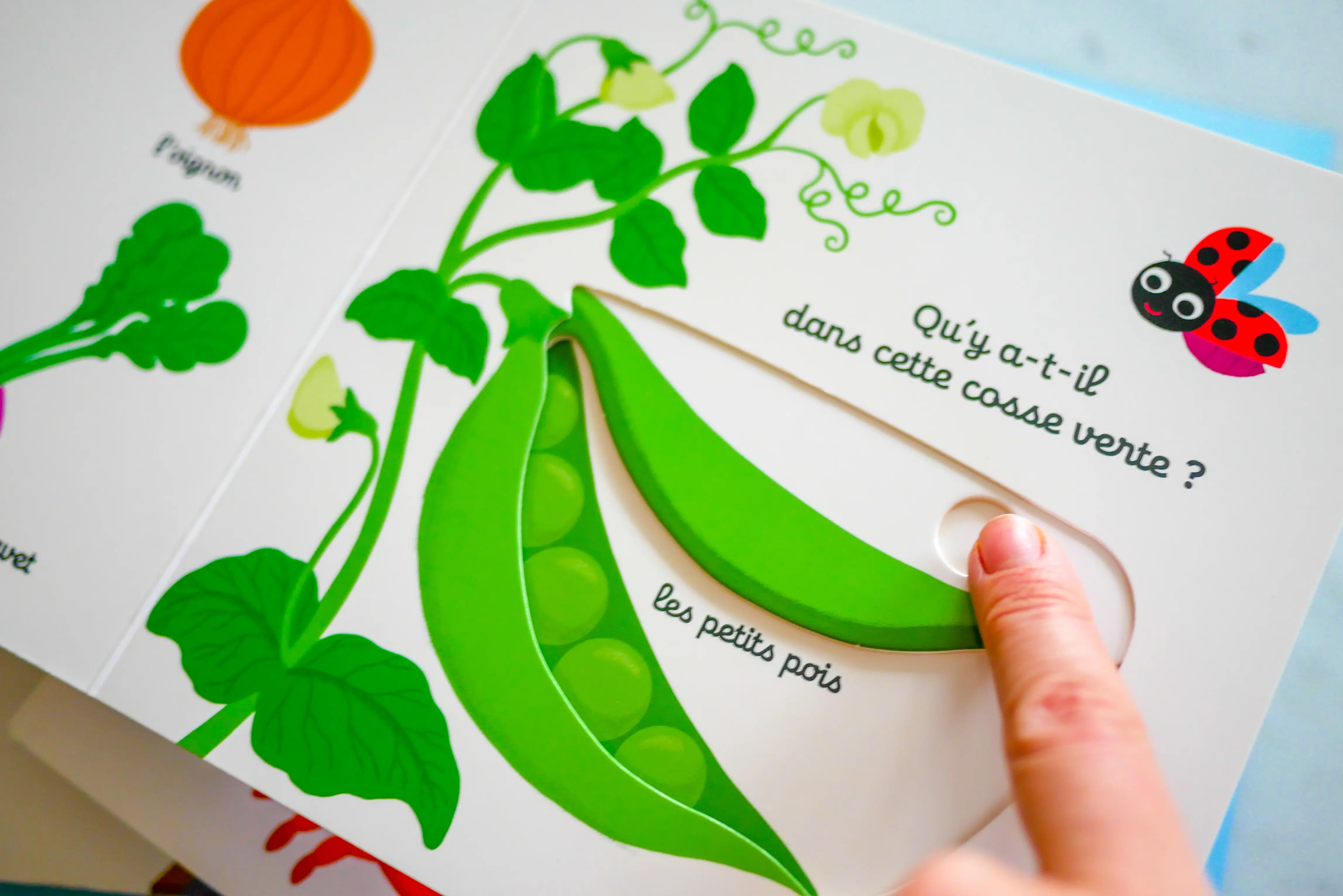 Mon imagier des légumes - Kididoc - Livre animé - dès 1 an - Livre documentaire - 9782095025809 - page-interieure 4