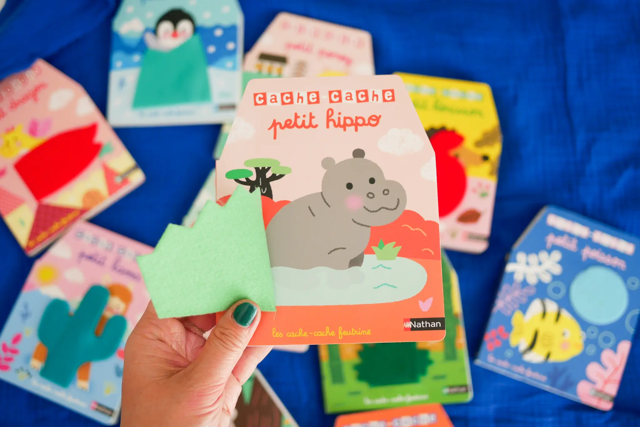 Cache-cache petit hippo - Livre matière - éveil -  Dès 6 mois - Livre d'éveil - 9782092495094 - page-intérieure 5